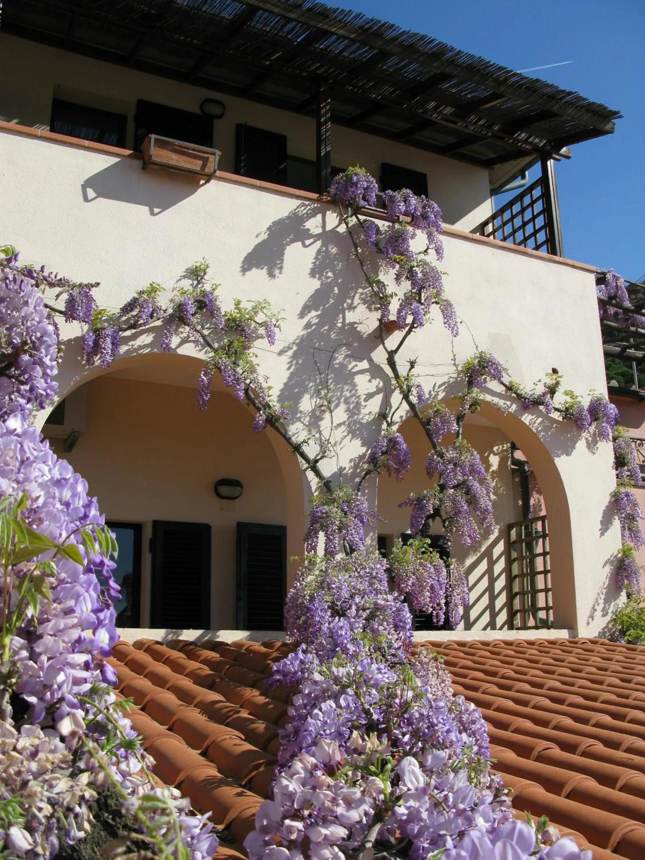 Property building in Hotel Galli - Wellness & Spa