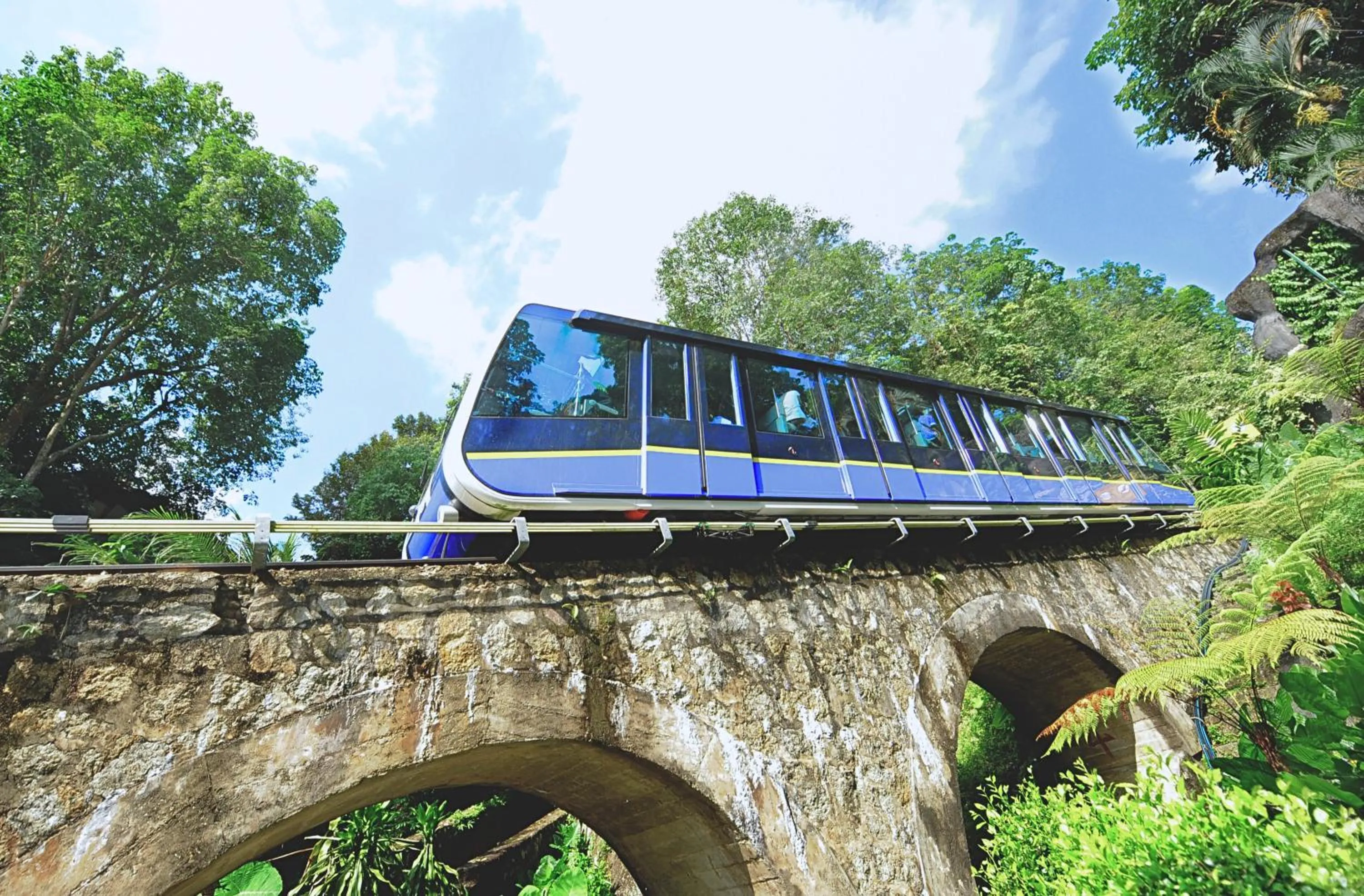 Tropicana 218 Macalister