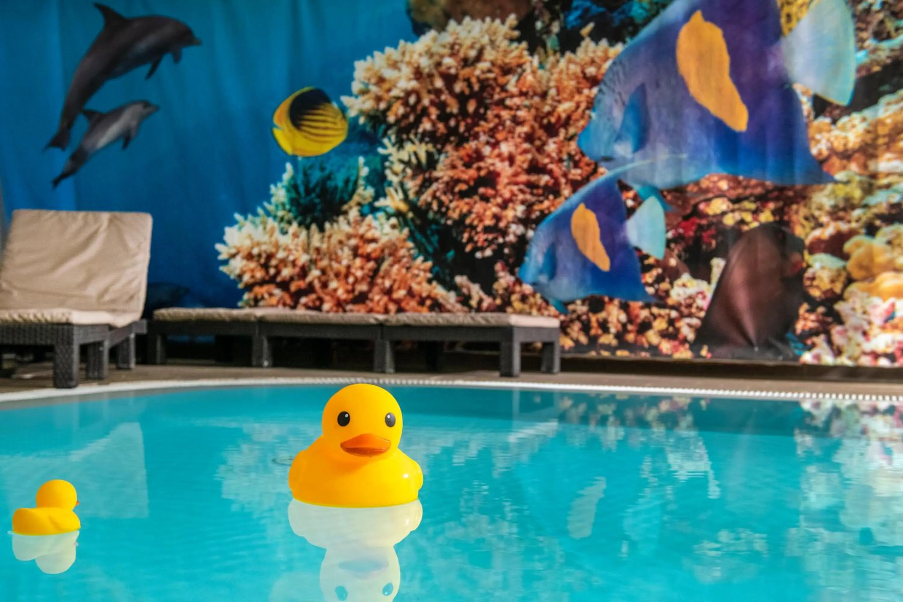 Spa and wellness centre/facilities in Oxigén Family Hotel Noszvaj