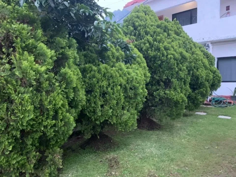 Hotel Puerto Villamar