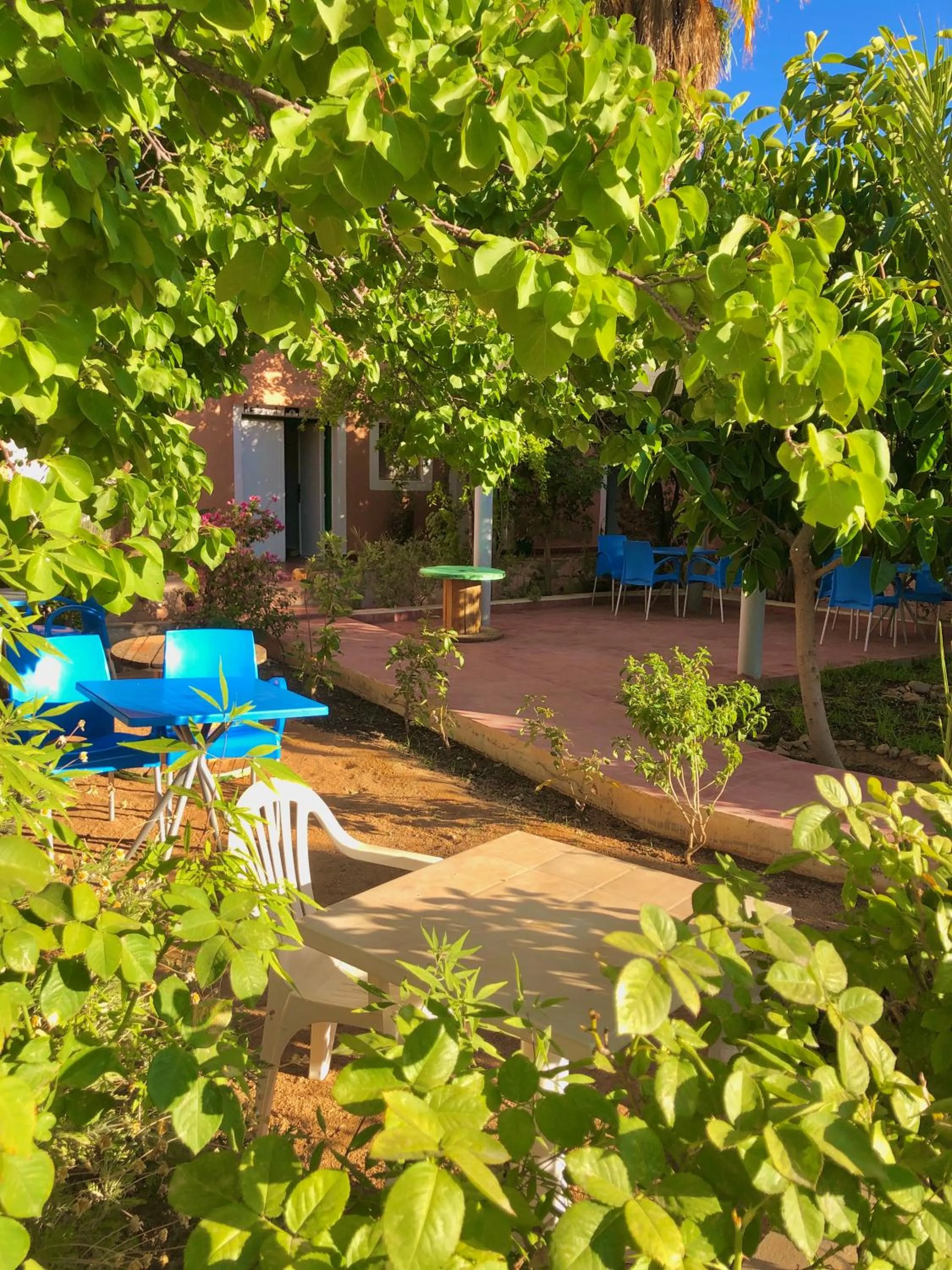 Garden in Hotel L'Arganier d'Ammelne
