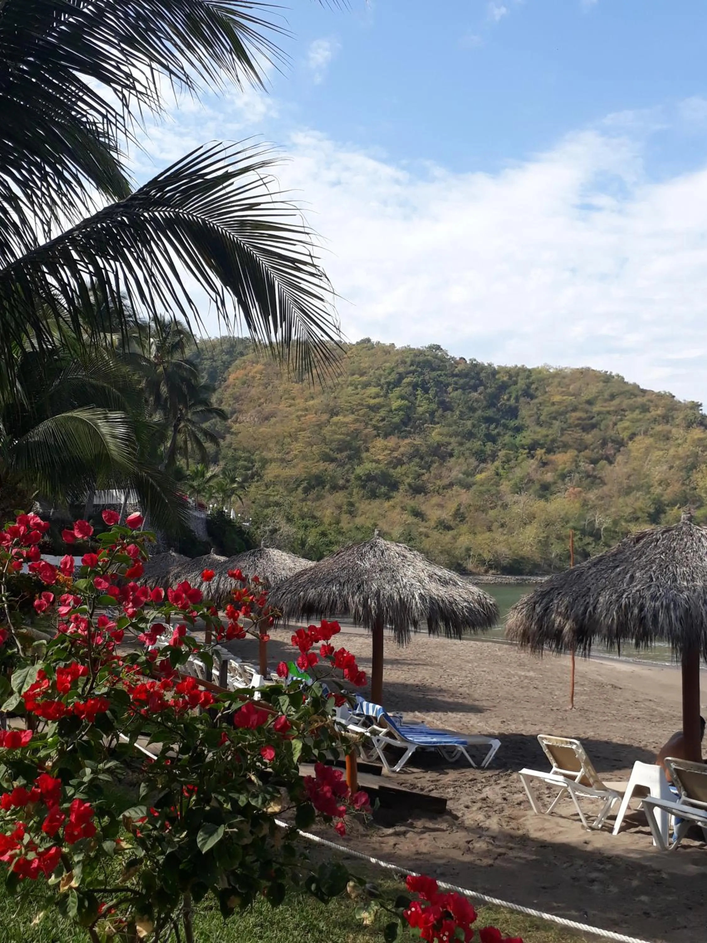 Natural landscape in La Quinta Gran Bahía, Cuastecomates - Todo Incluido