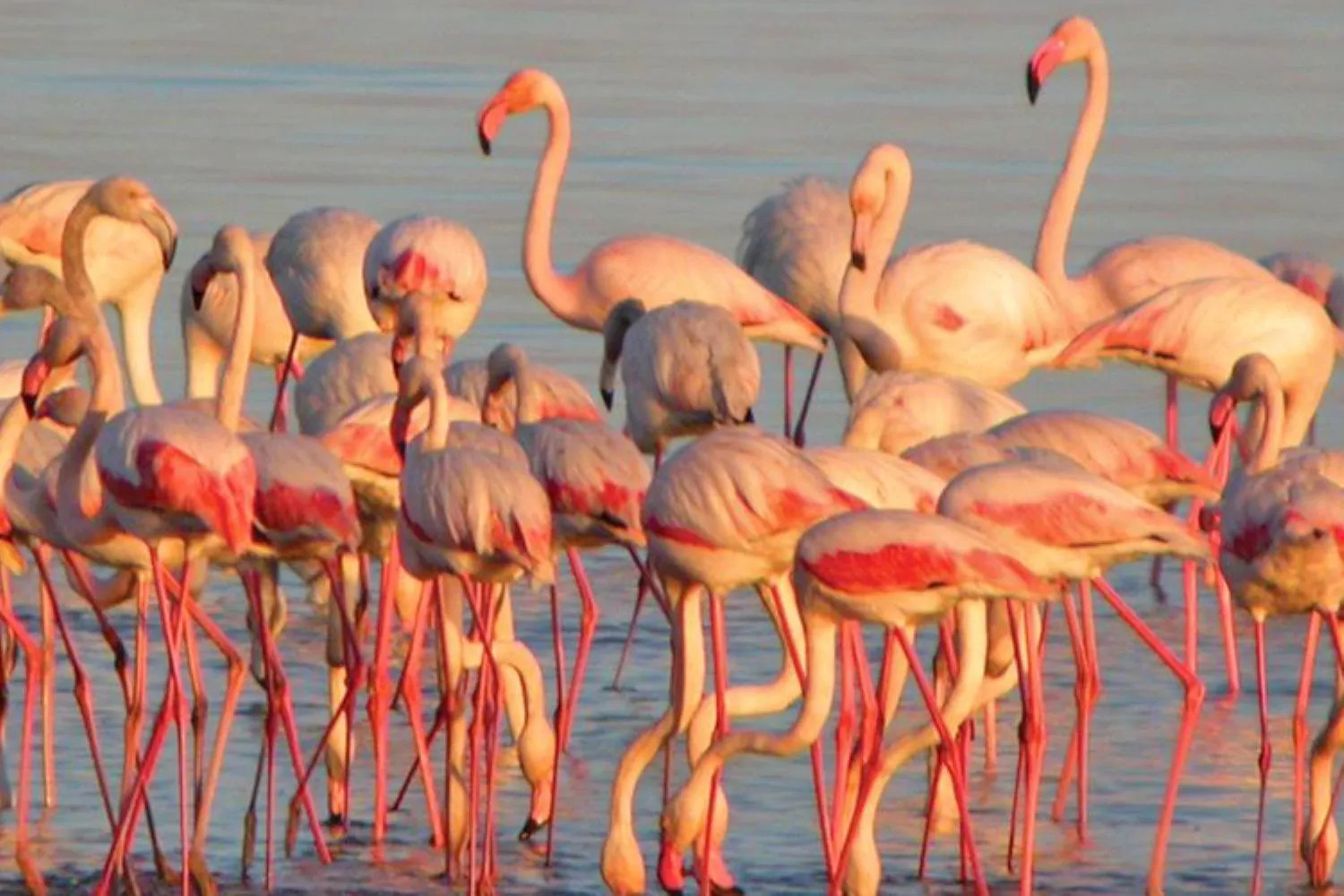 Off site in Upon Vila - Alcochete Hotel