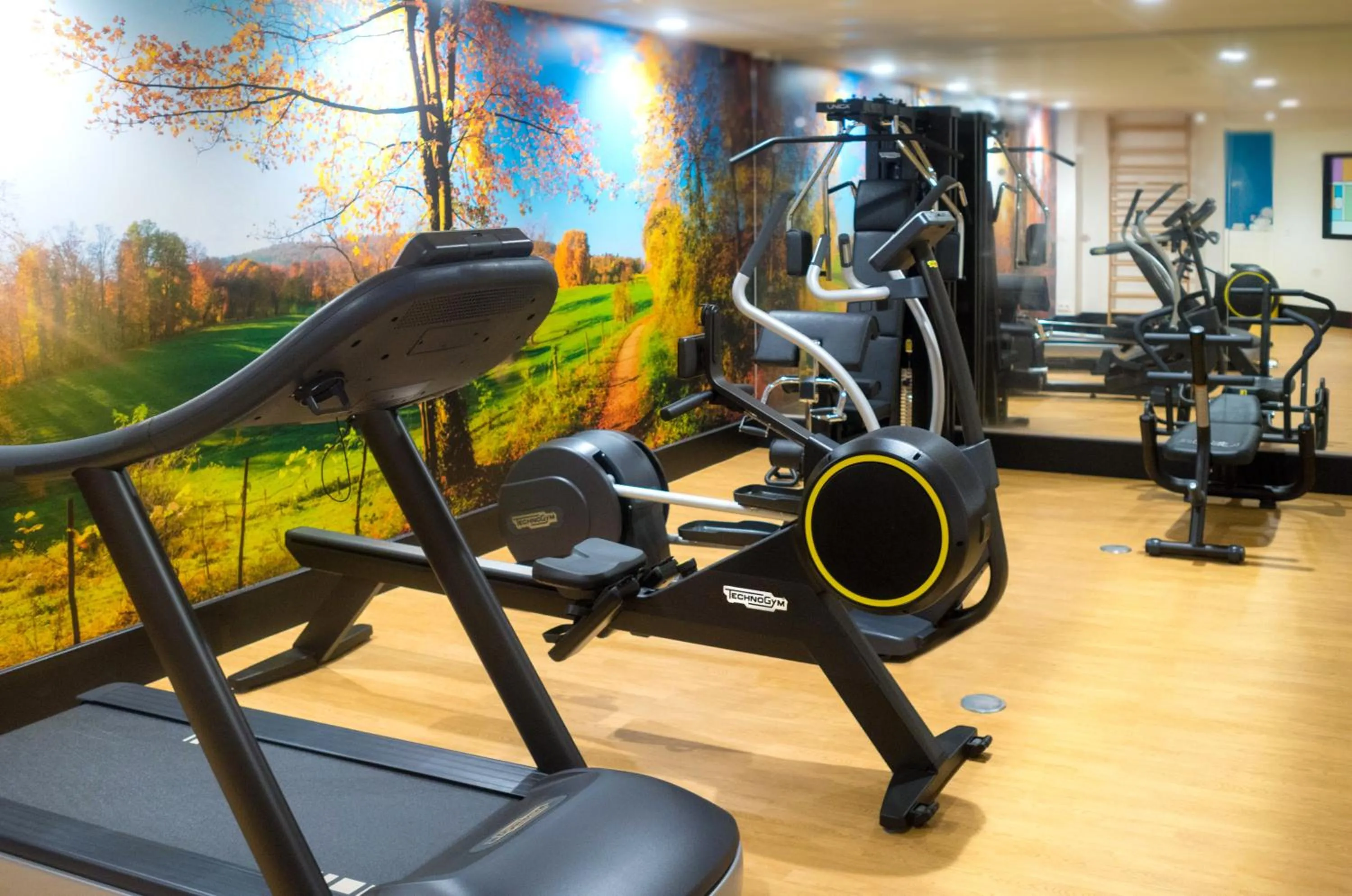 Fitness centre/facilities in Kyriad Prestige Amiens Poulainville - Hotel and Spa