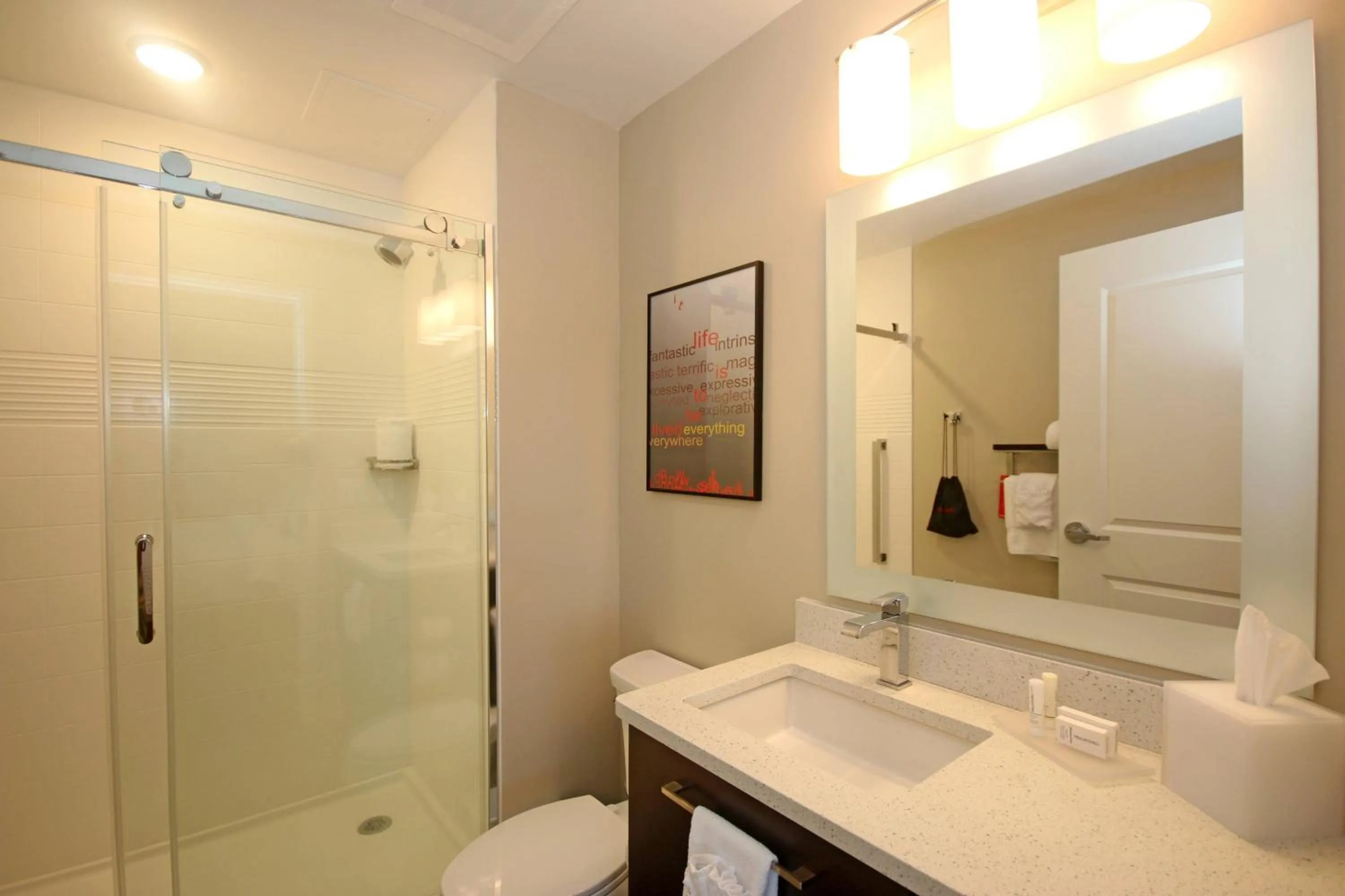 Bathroom in TownePlace Suites by Marriott Charleston-North Charleston