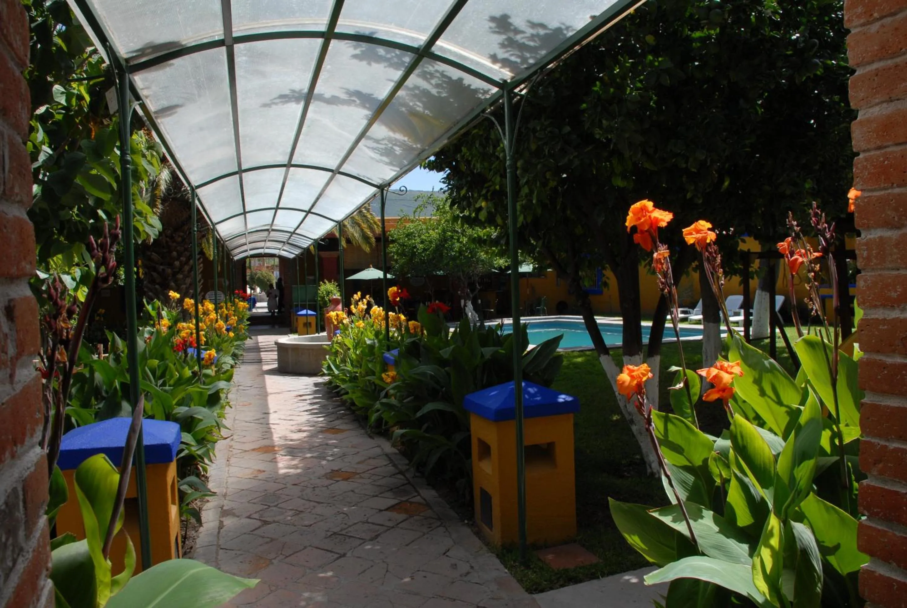Garden in Hotel Hacienda Don Cenobio
