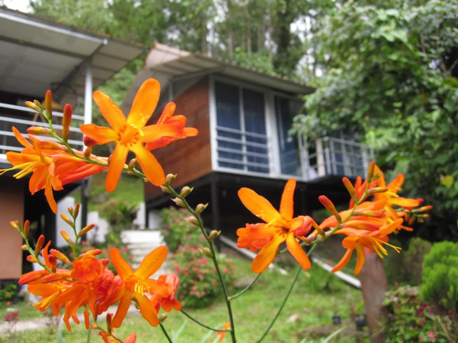 Property building in J Residence