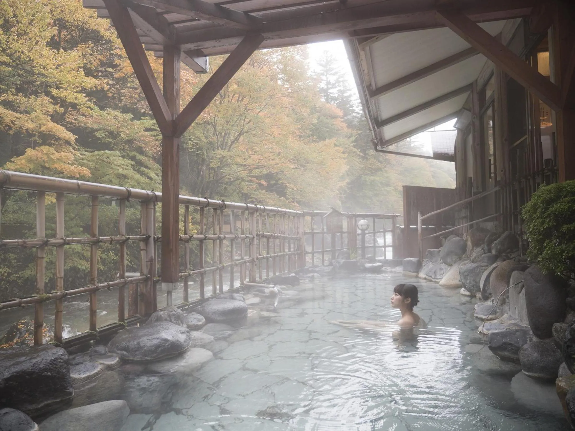 Hot Tub in Shima-Onsen Toshimaya