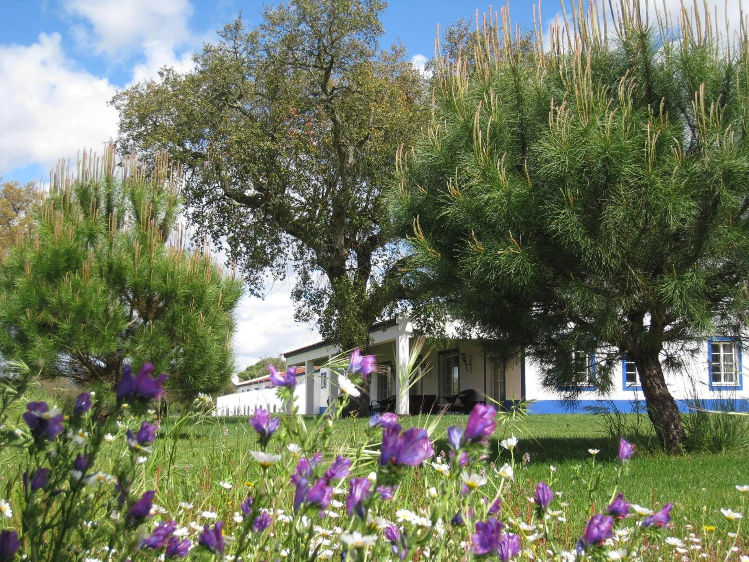 Garden in Monte das Faias Cork Farm Hotel