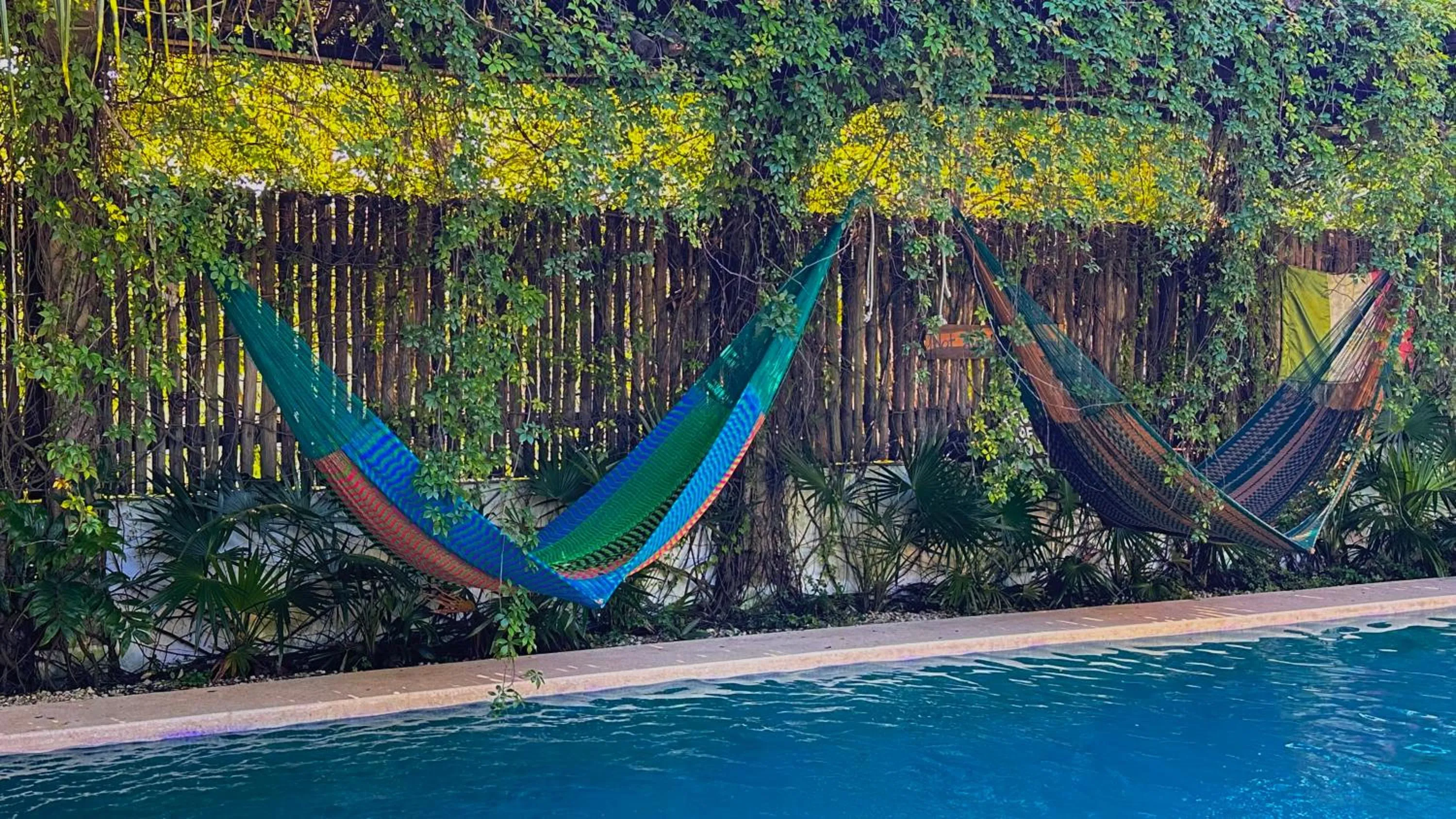 Day in Hotel Jaiba Mahahual - Adults Only