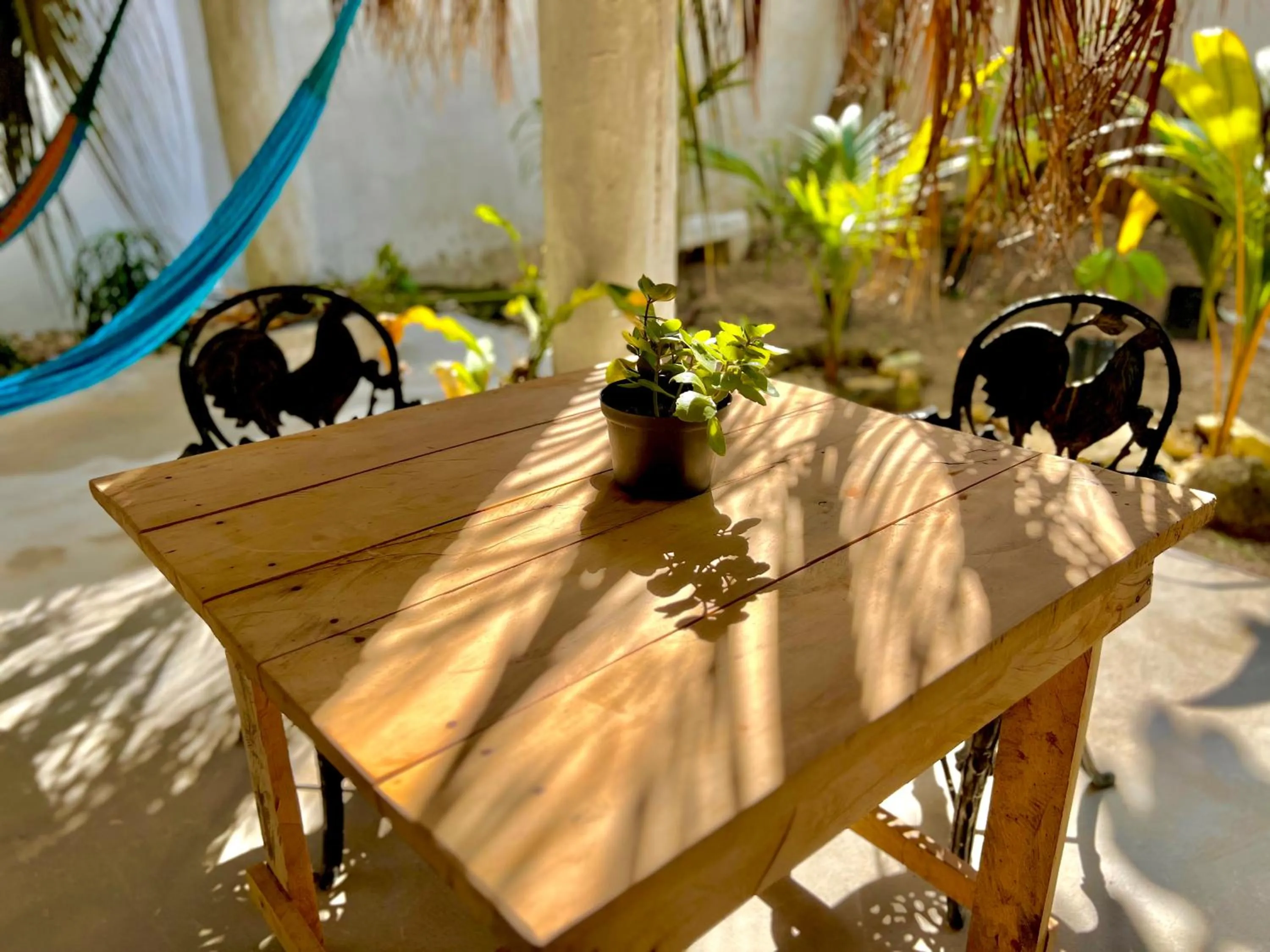 Day in Hotel Jaiba Mahahual - Adults Only