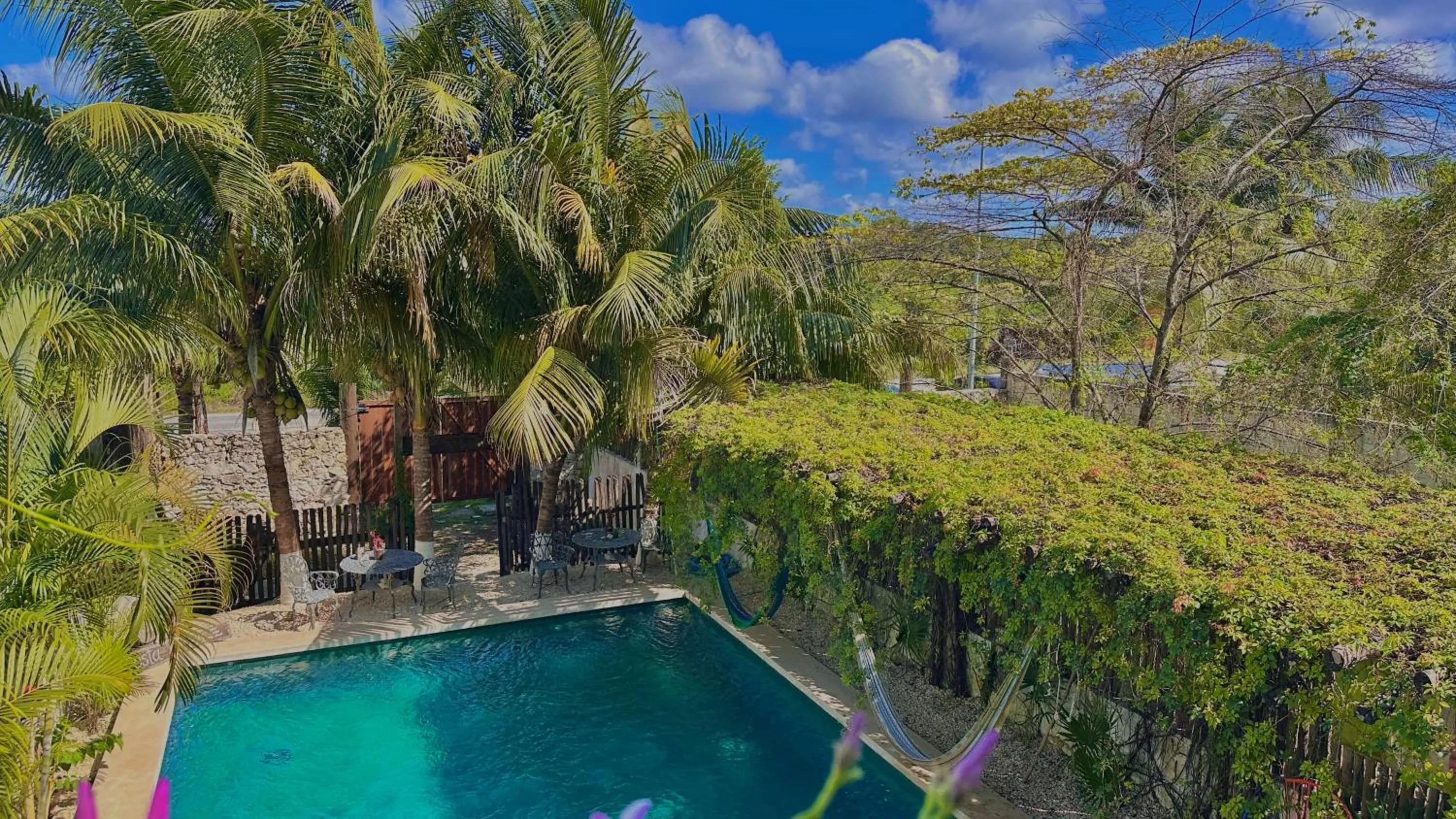 Swimming pool in Hotel Jaiba Mahahual - Adults Only