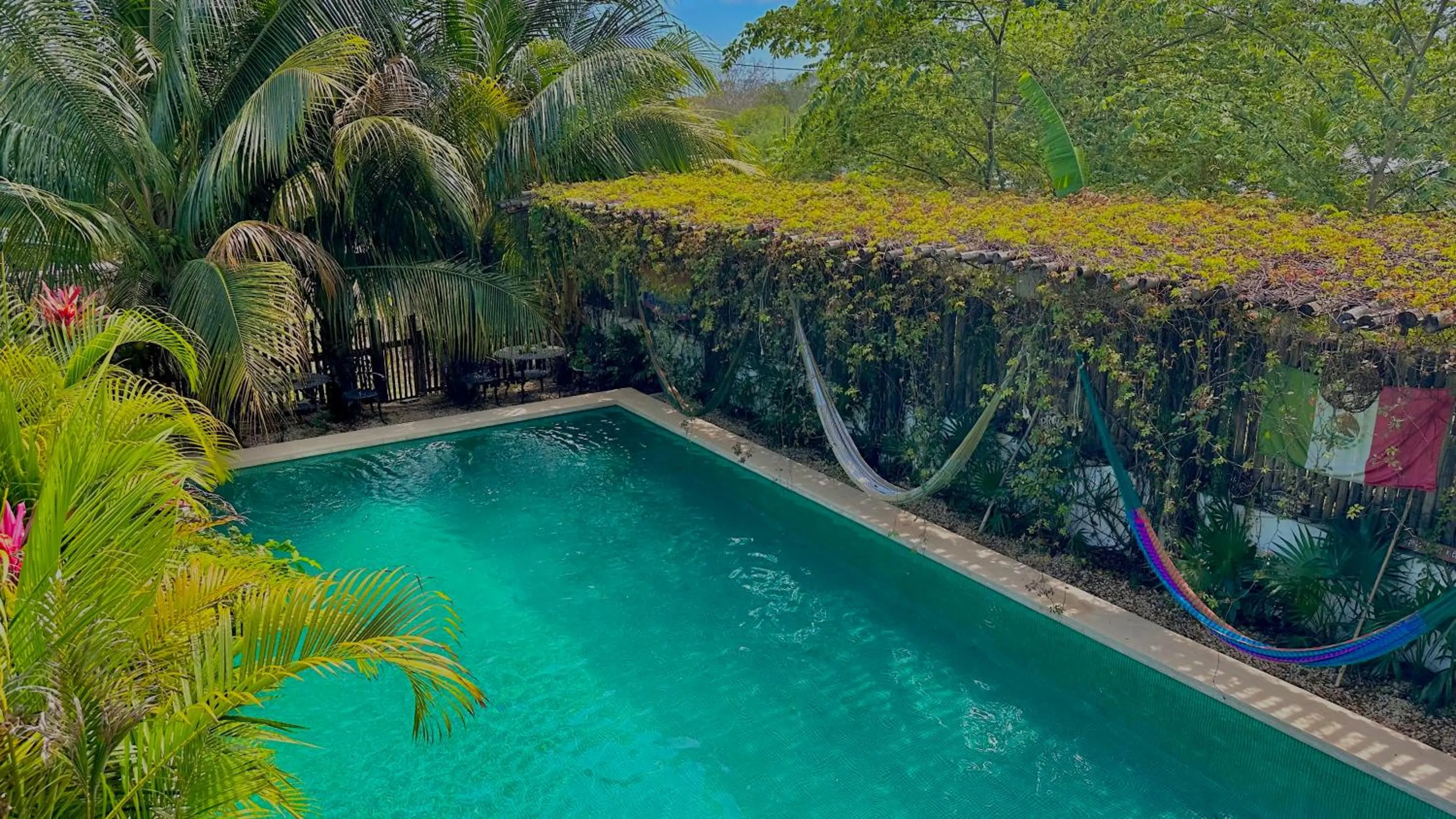 Day in Hotel Jaiba Mahahual - Adults Only