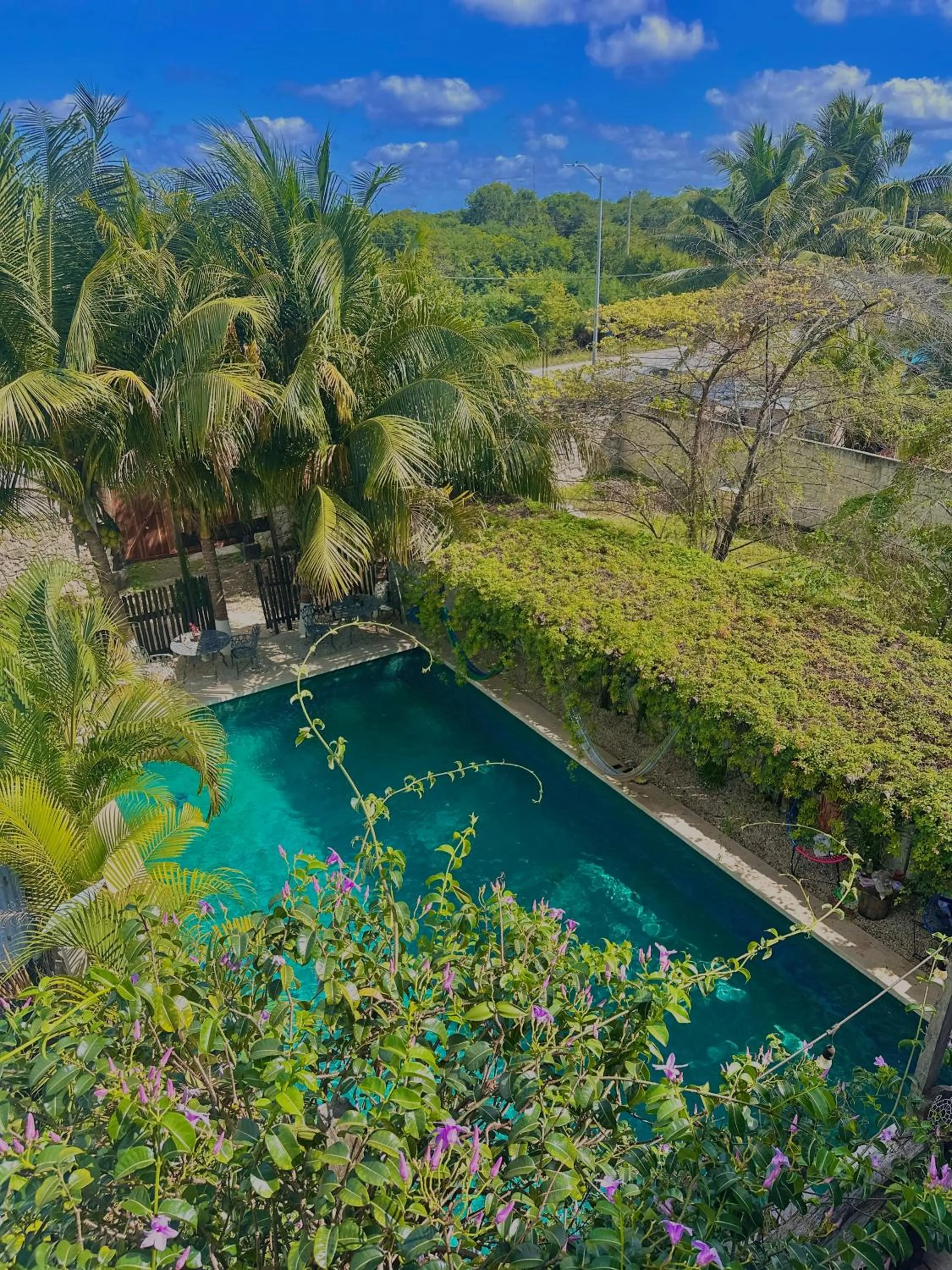 Swimming pool in Hotel Jaiba Mahahual - Adults Only