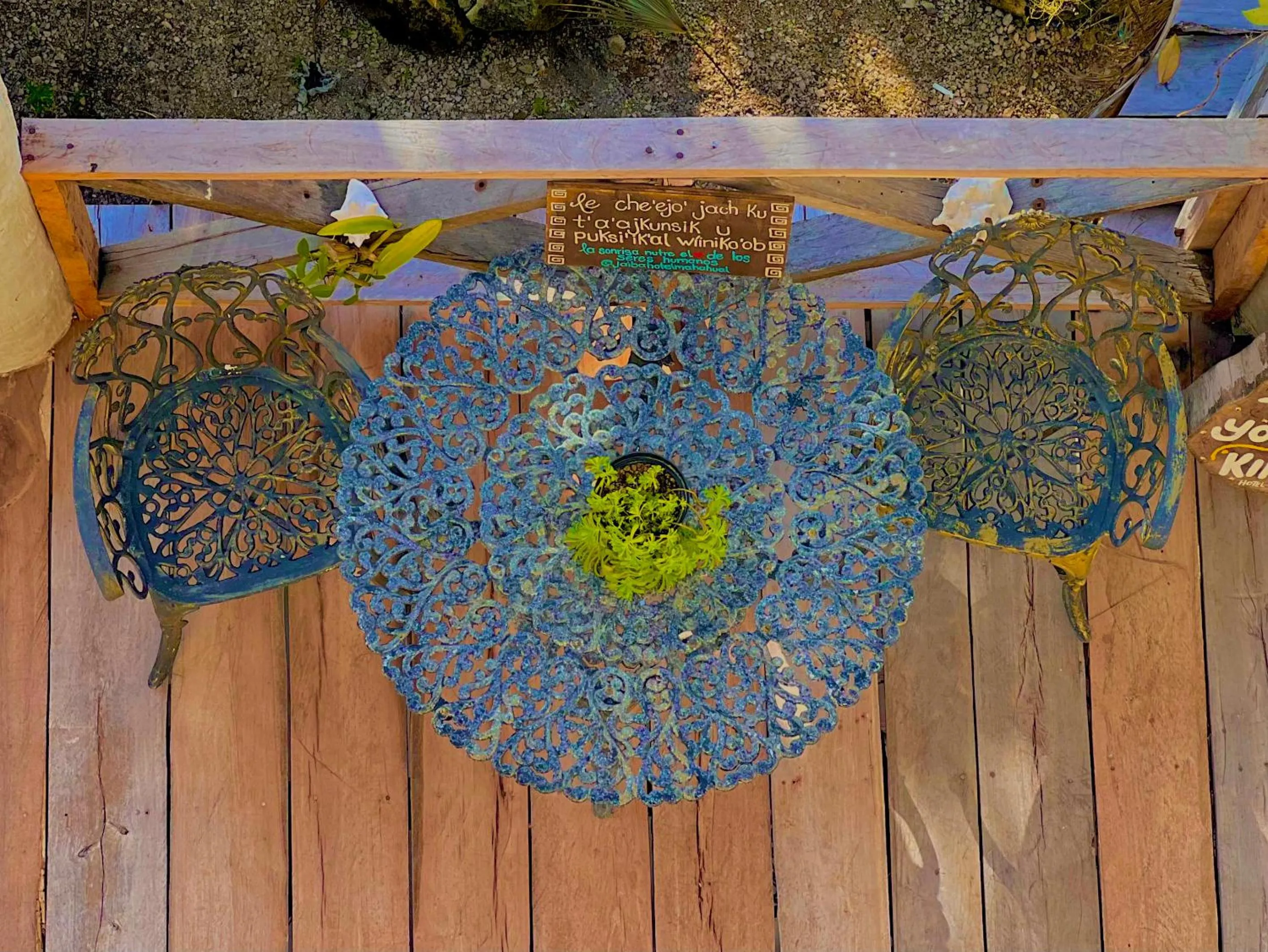 Day in Hotel Jaiba Mahahual - Adults Only