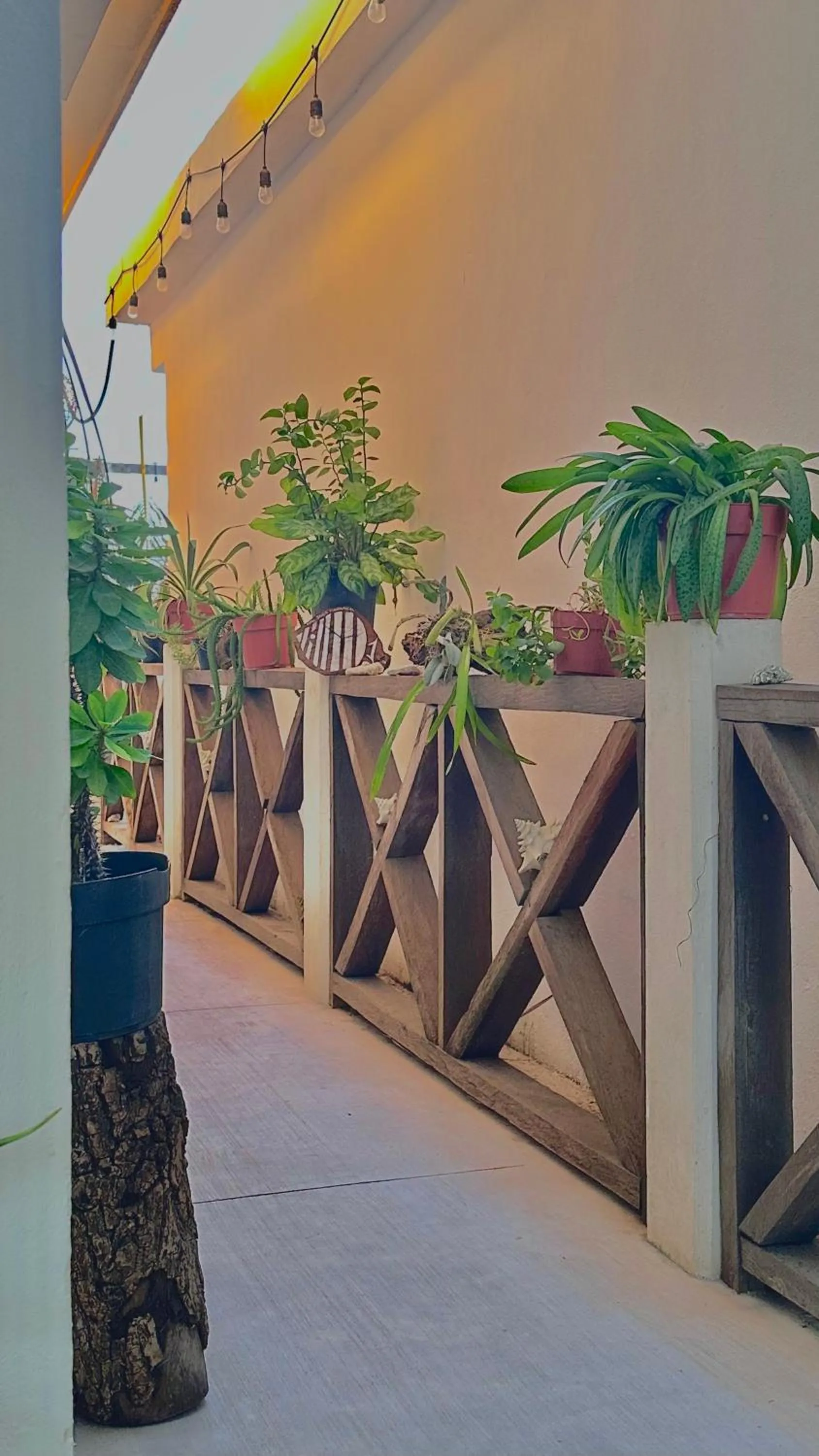 Natural landscape in Hotel Jaiba Mahahual - Adults Only