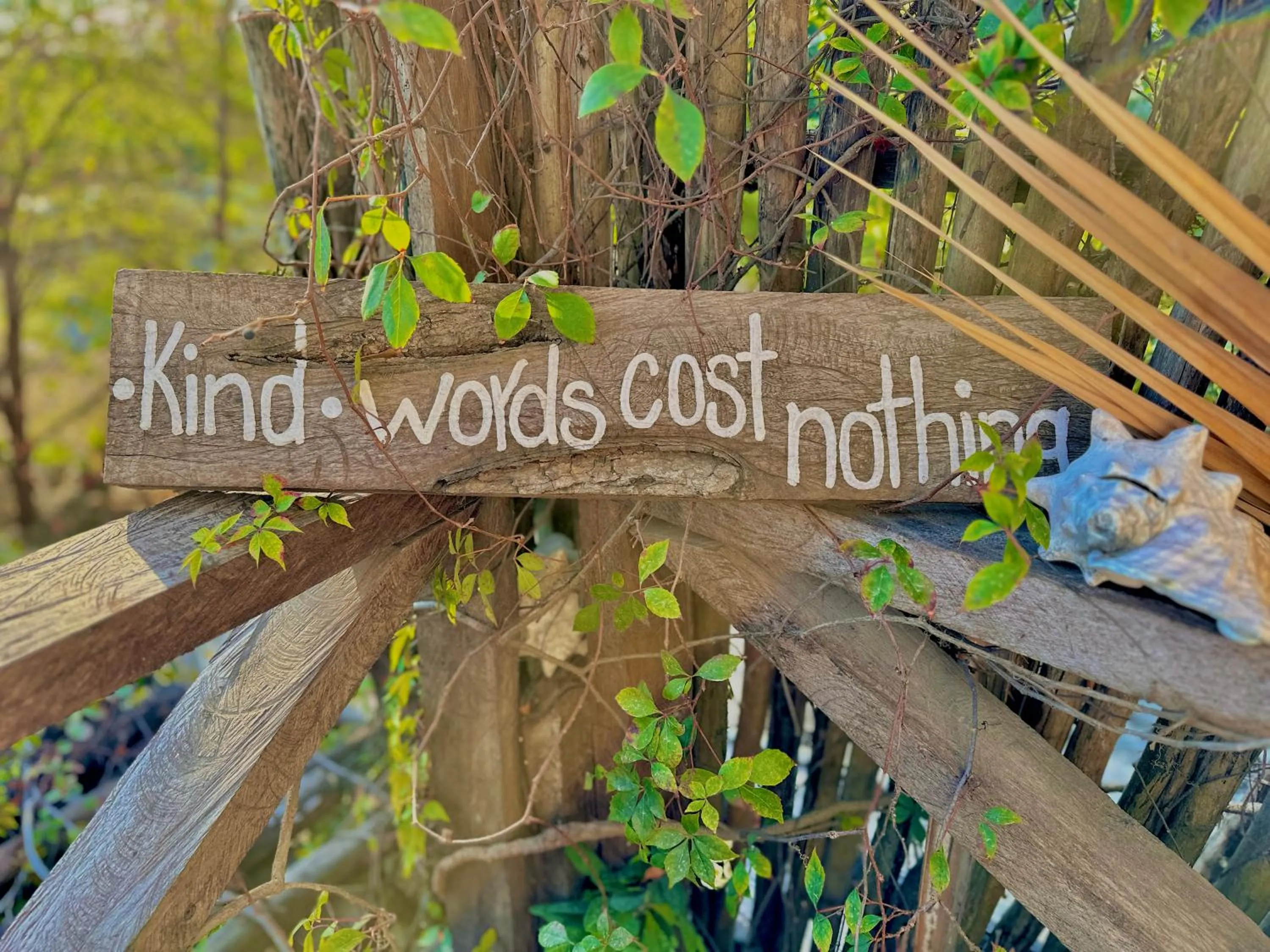 Balcony/Terrace in Hotel Jaiba Mahahual - Adults Only