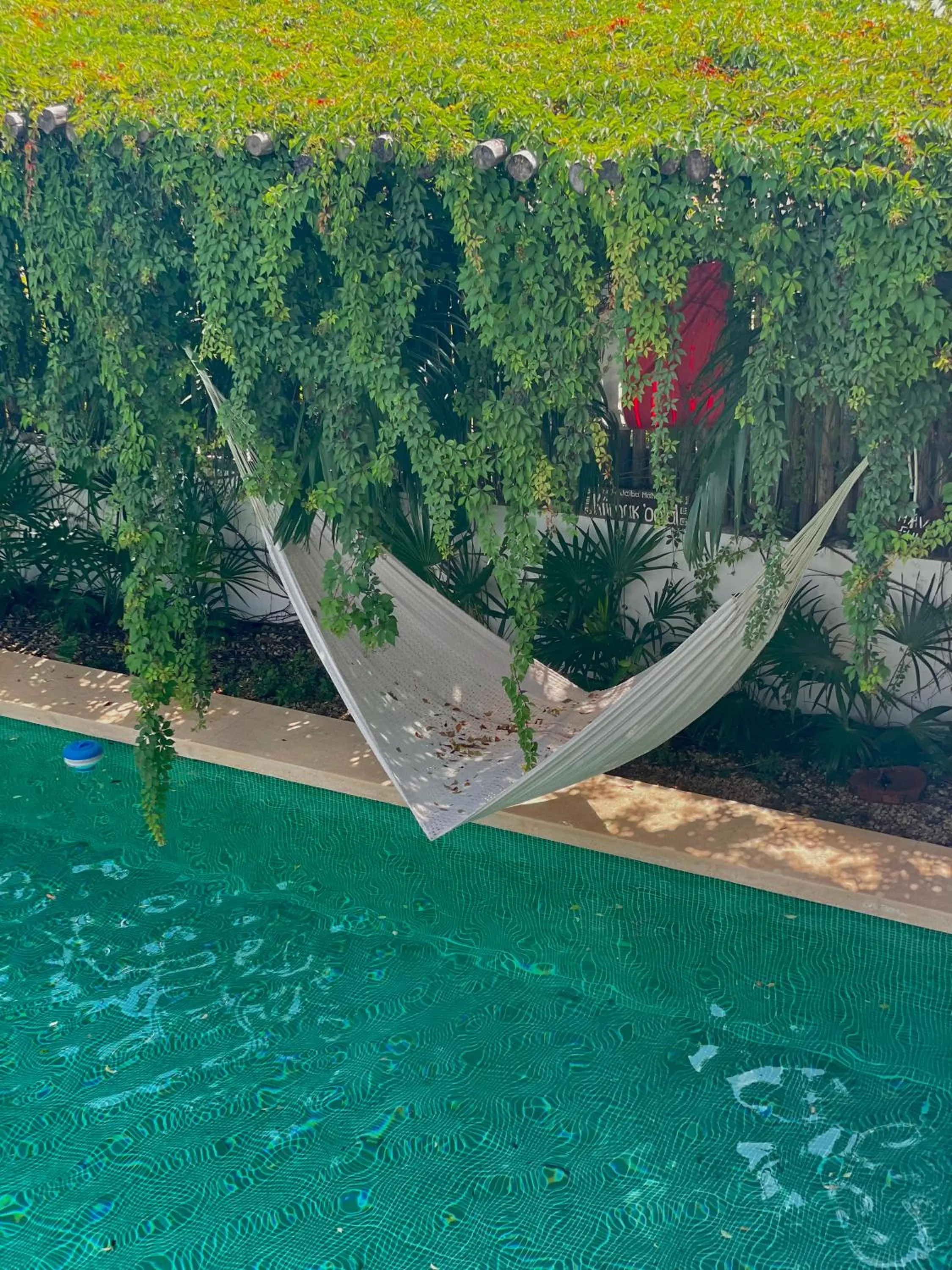 Swimming pool in Hotel Jaiba Mahahual - Adults Only