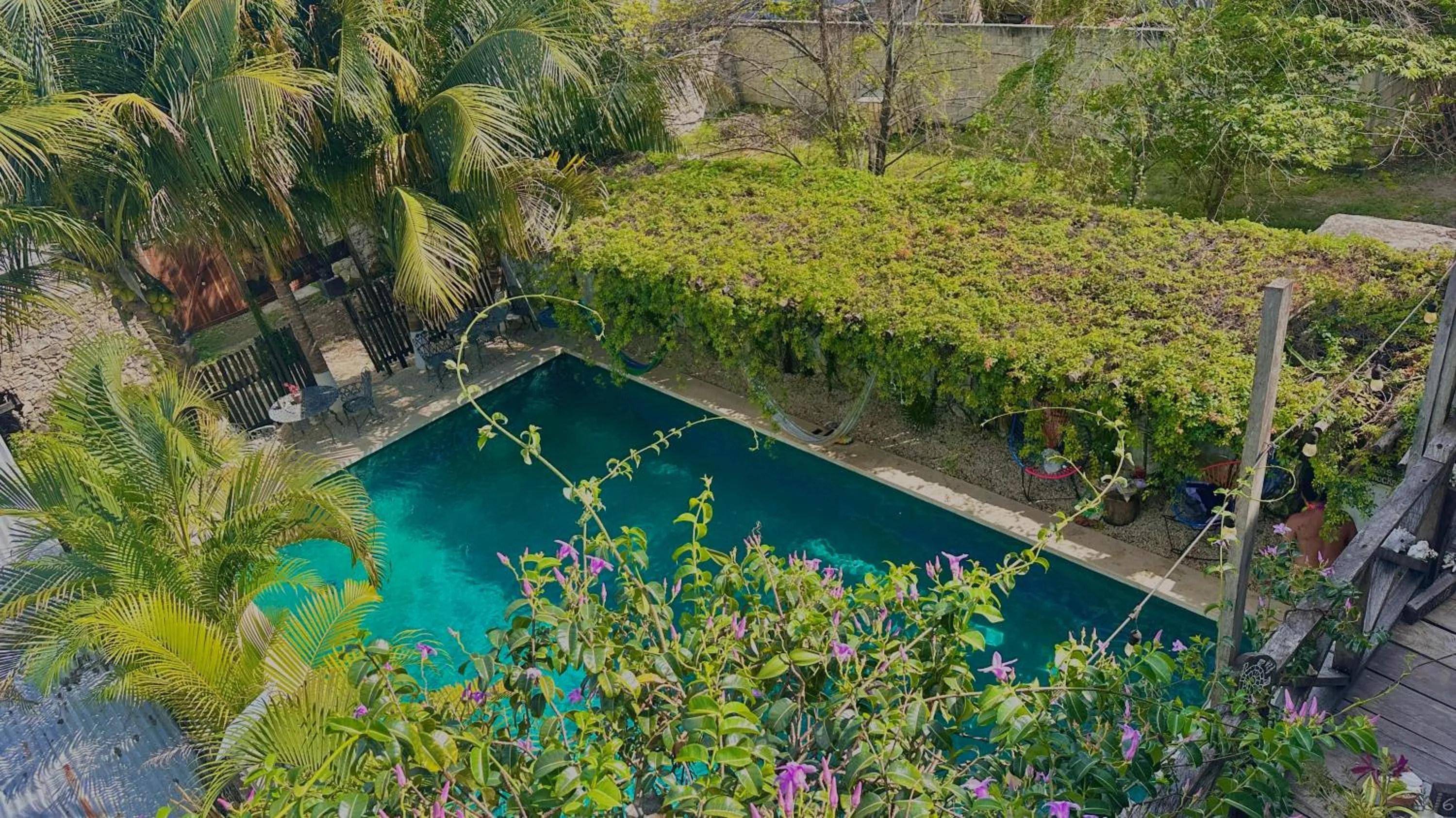 Day in Hotel Jaiba Mahahual - Adults Only