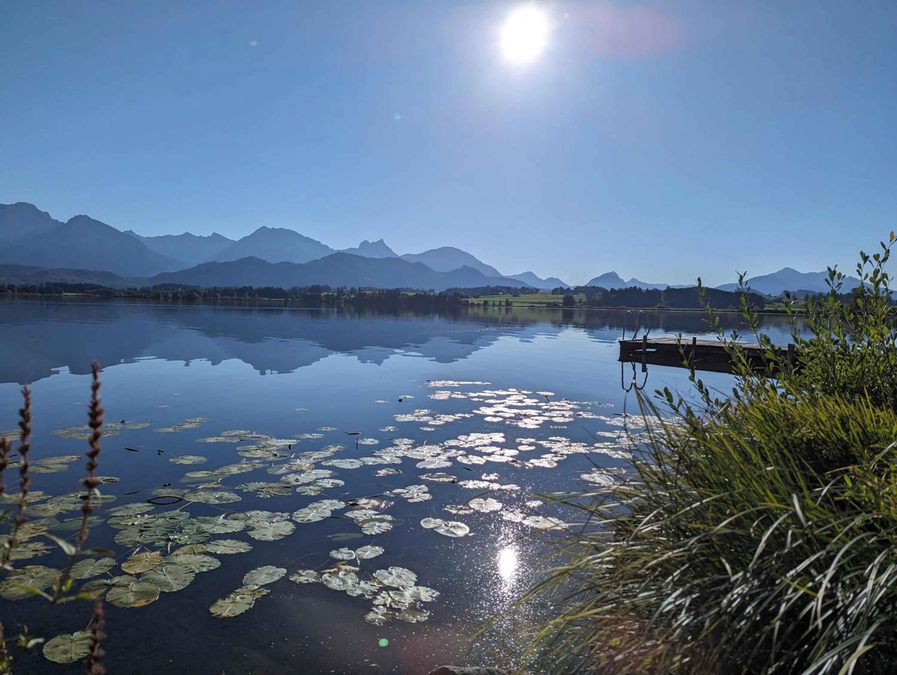 Lake view in Seehotel Hartung & Ferienappartements