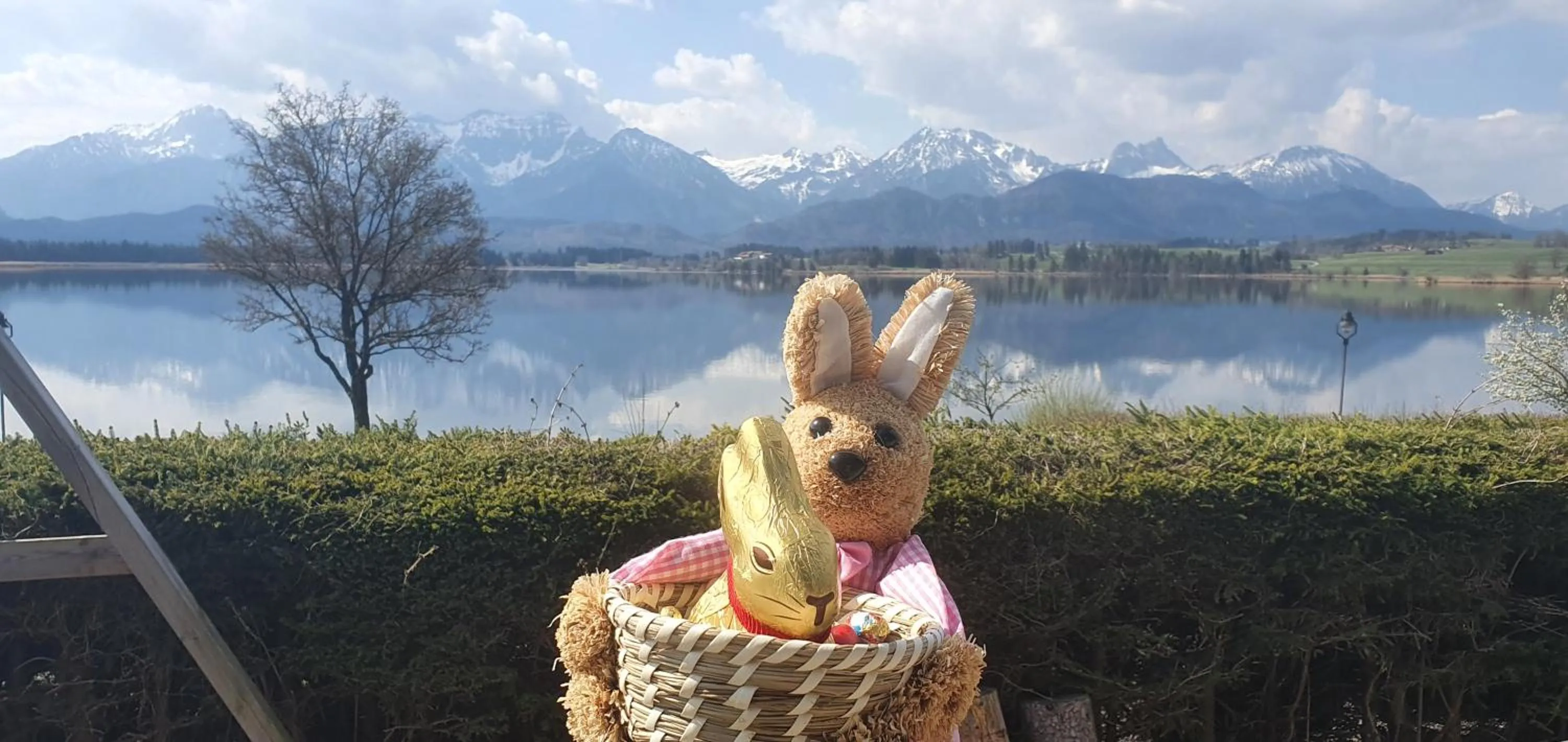 View (from property/room) in Seehotel Hartung & Ferienappartements