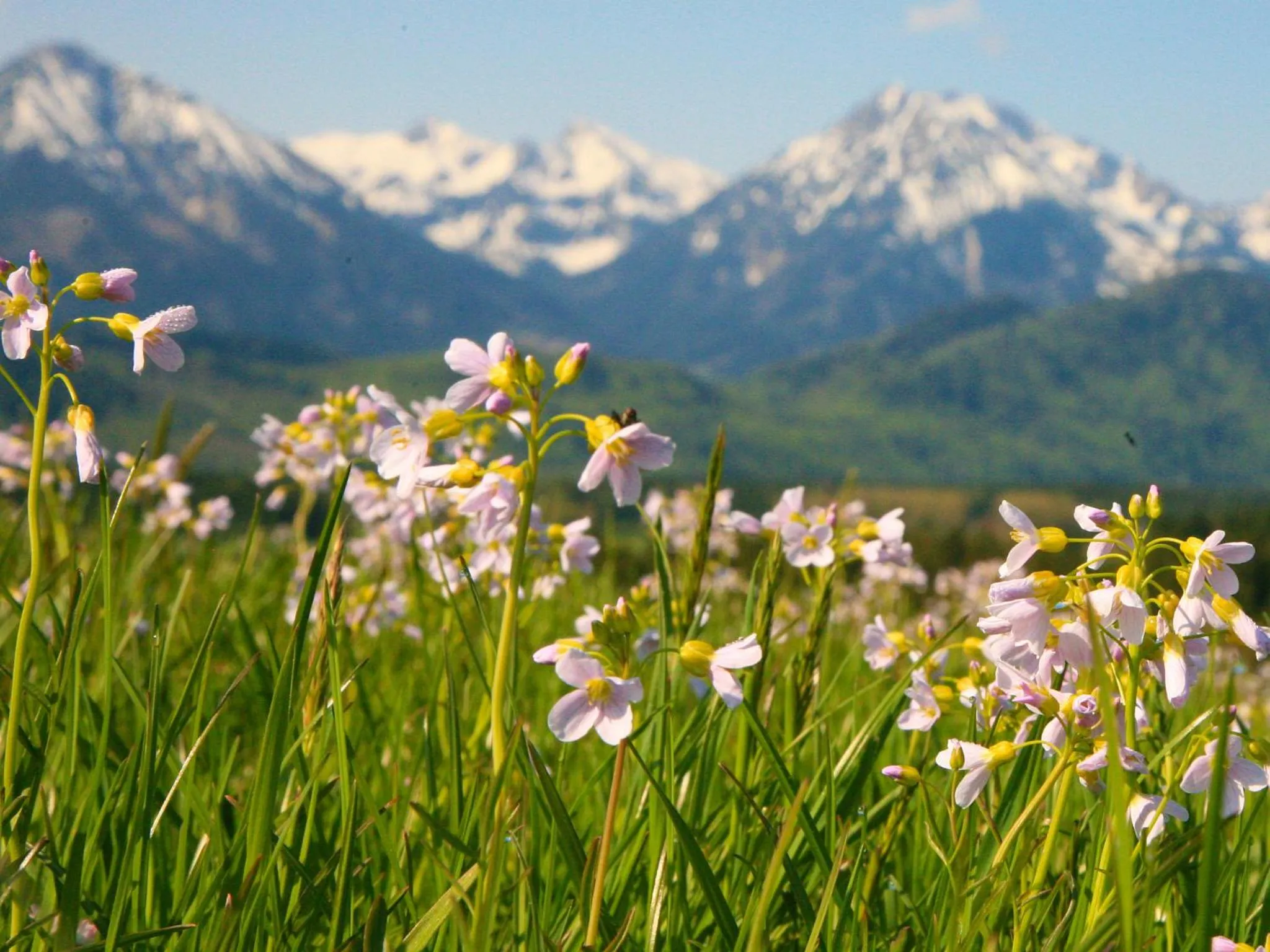 Other in Seehotel Hartung & Ferienappartements