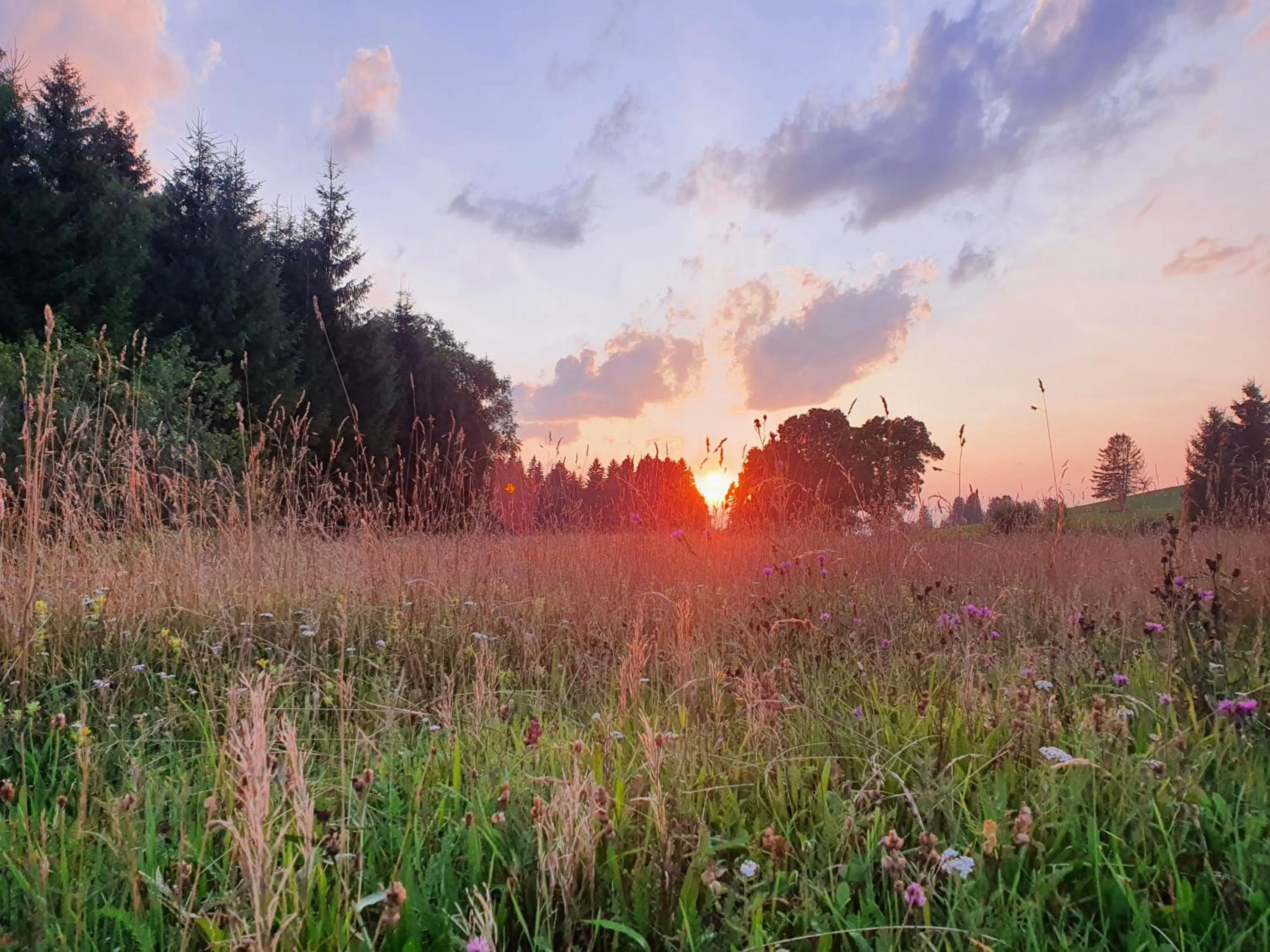 Day in Seehotel Hartung & Ferienappartements