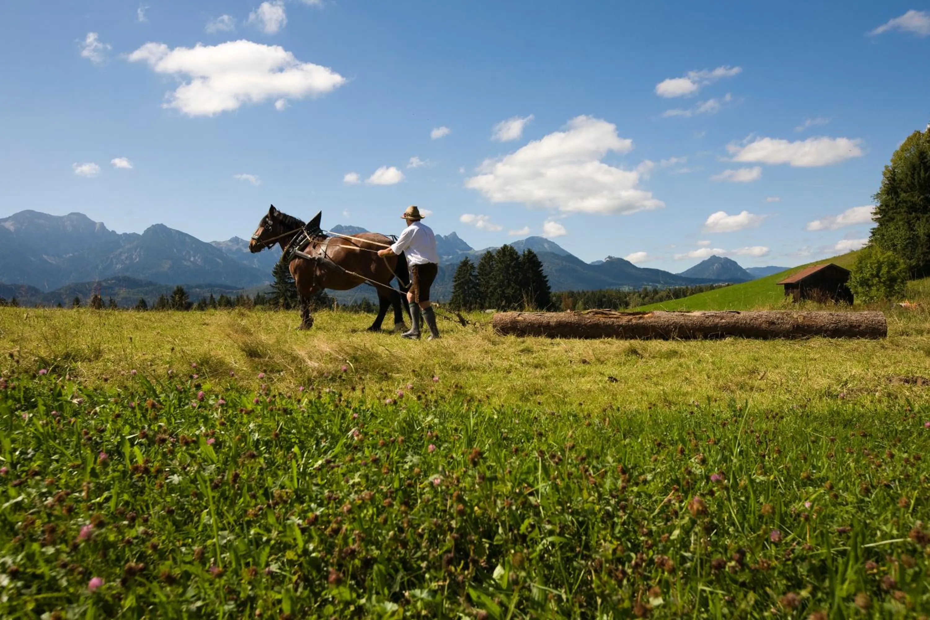 Staff in Seehotel Hartung & Ferienappartements