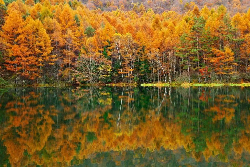 Natural landscape in Guesthouse Kreutzer