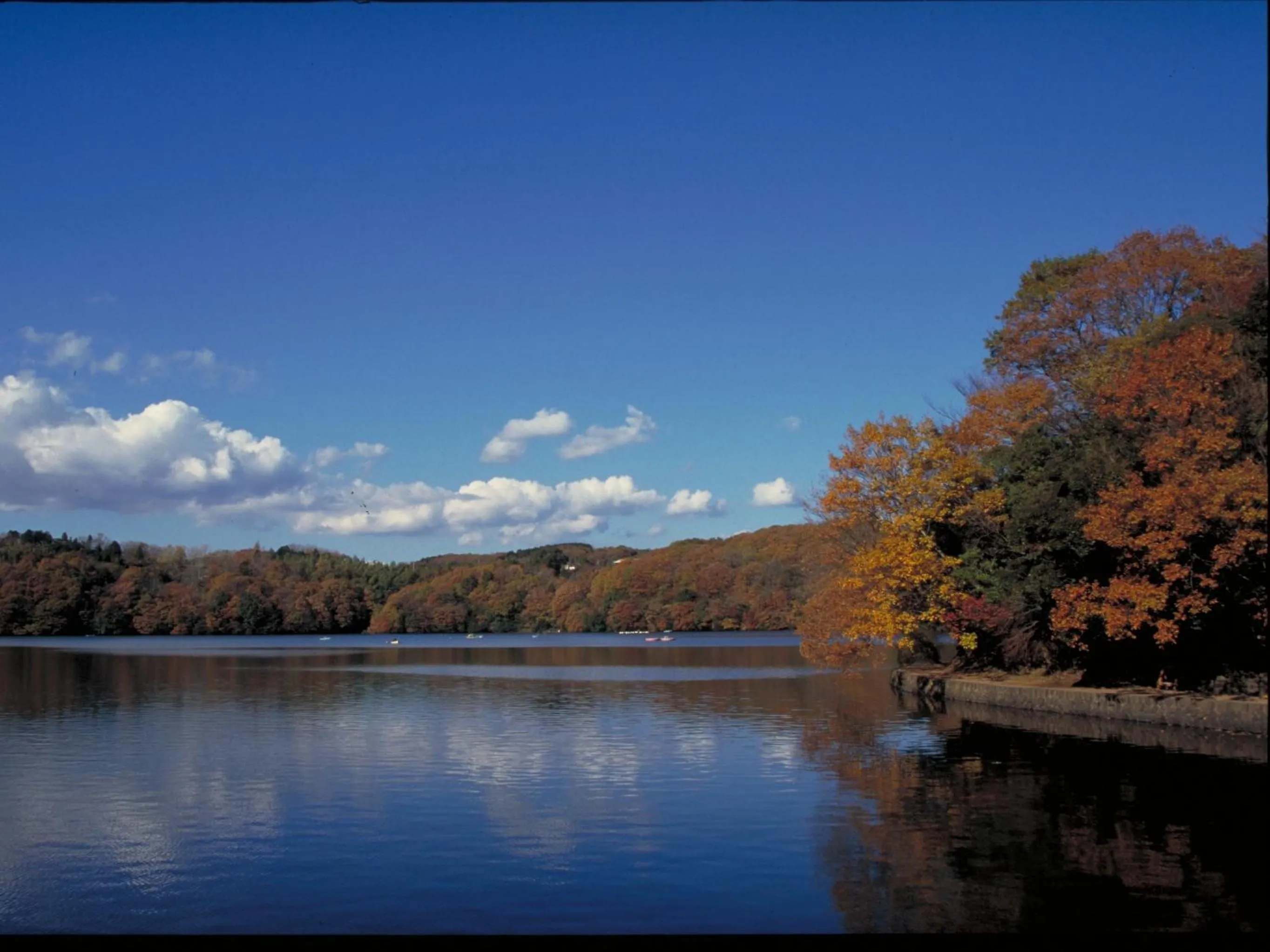 Area and facilities in Petit Resort Hotel Alcyon