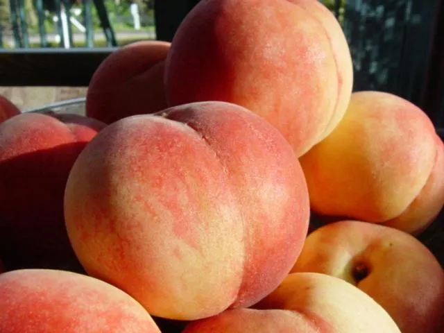 Food in Petit Resort Hotel Alcyon