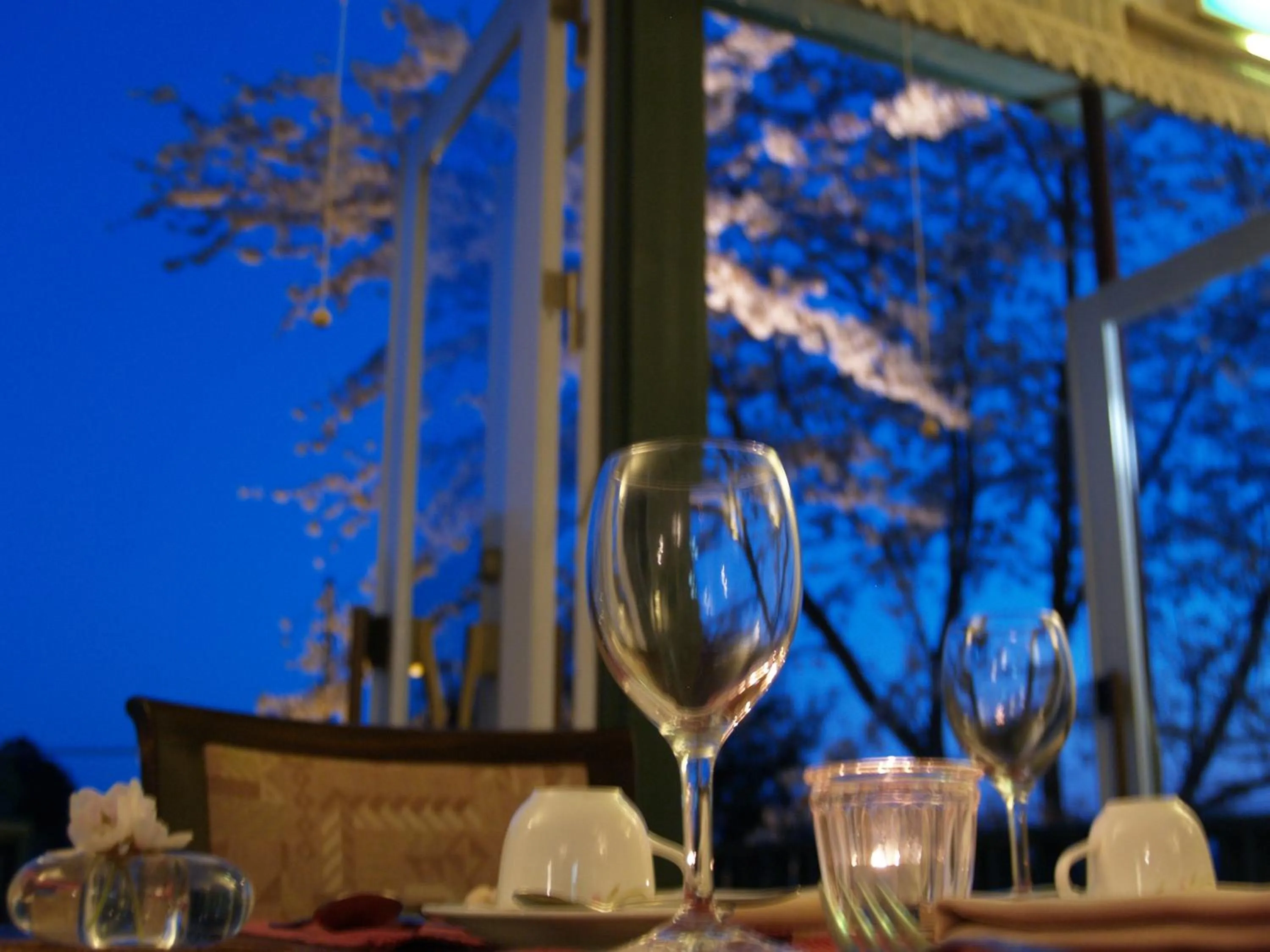 Restaurant/places to eat in Petit Resort Hotel Alcyon