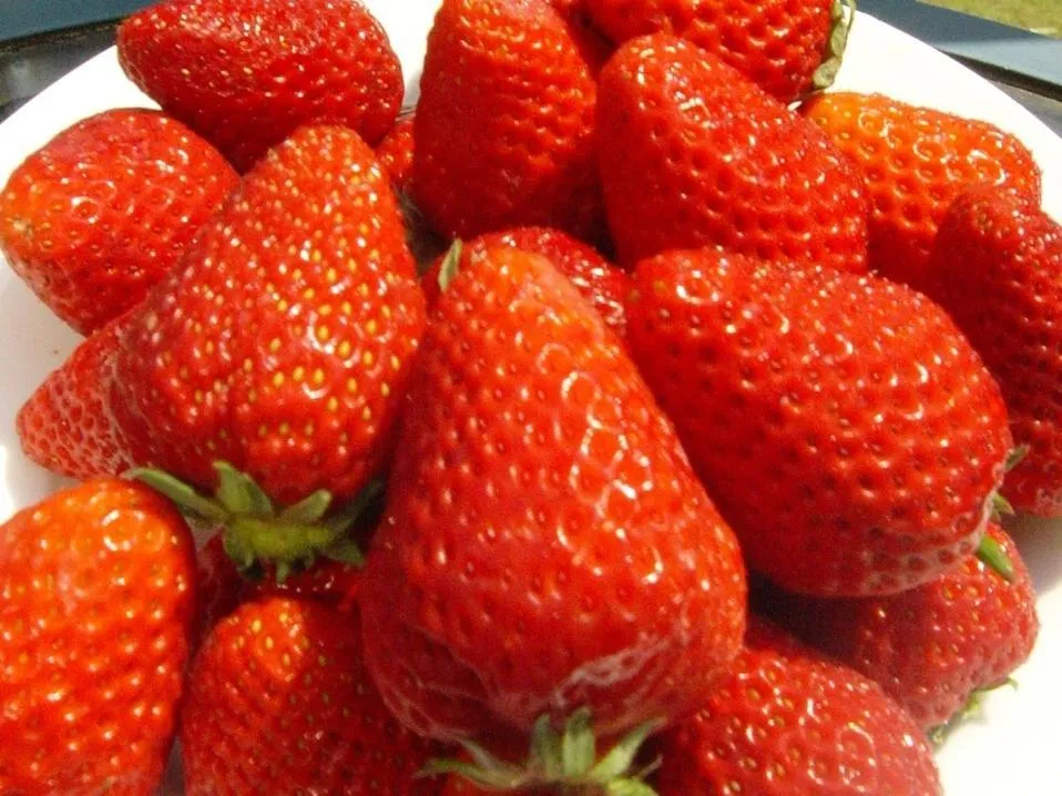 Food in Petit Resort Hotel Alcyon