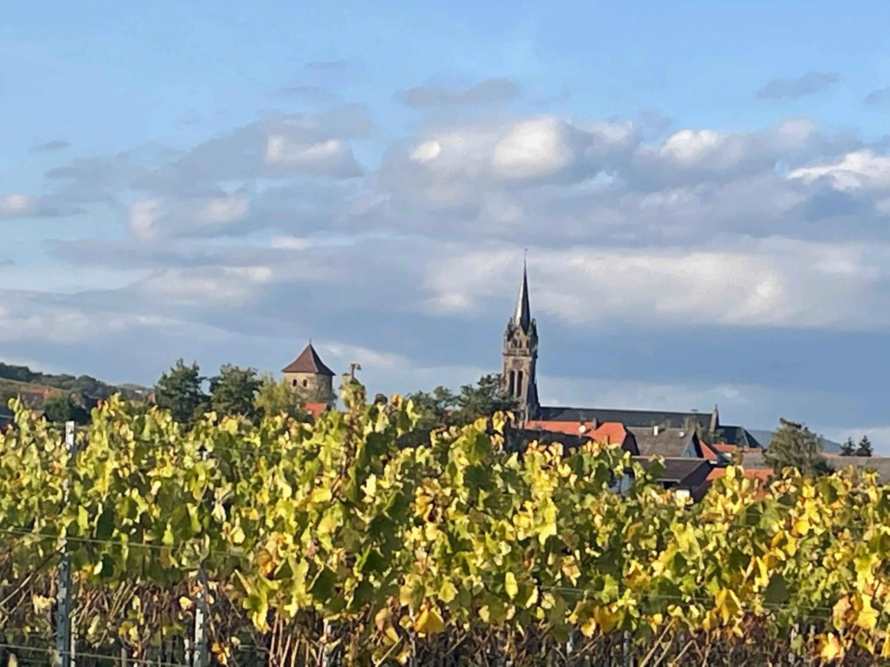 La Cour Zaepffel