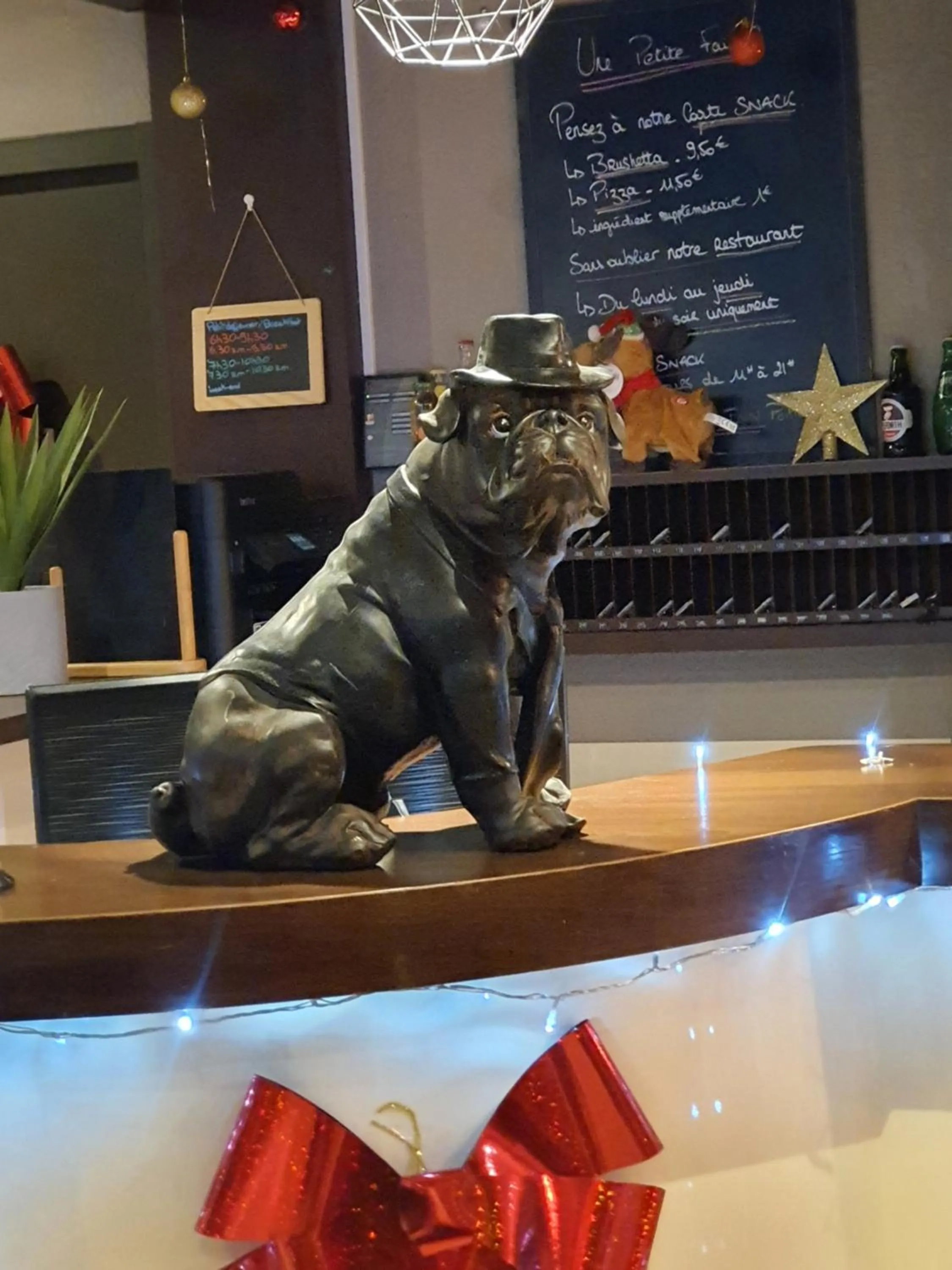 Pets in Hotel Inn Design Poitiers Sud