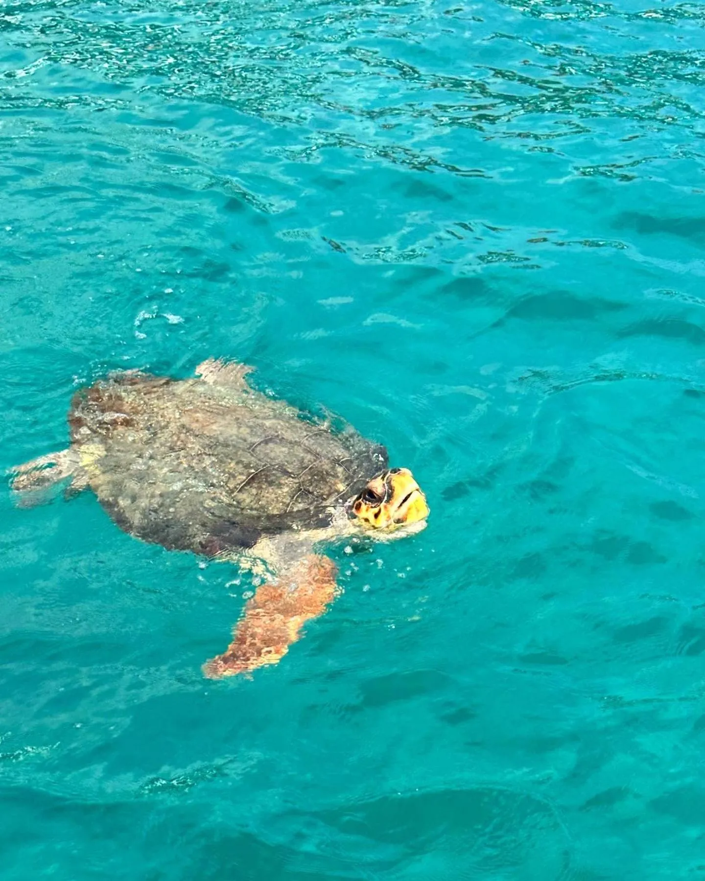 Beach in Valentino Villas & Apartments