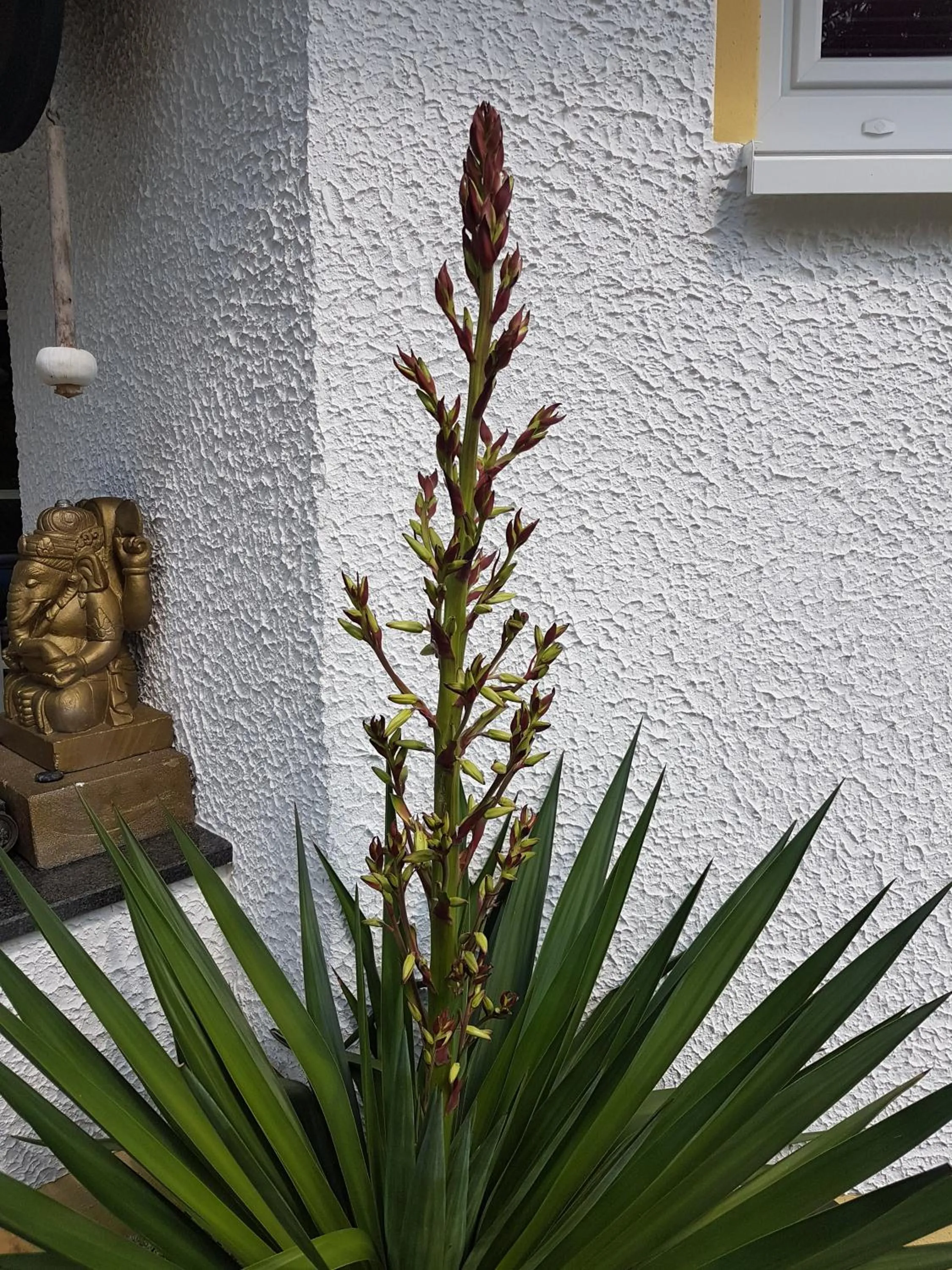 Beach in Landhotel Grimmeblick