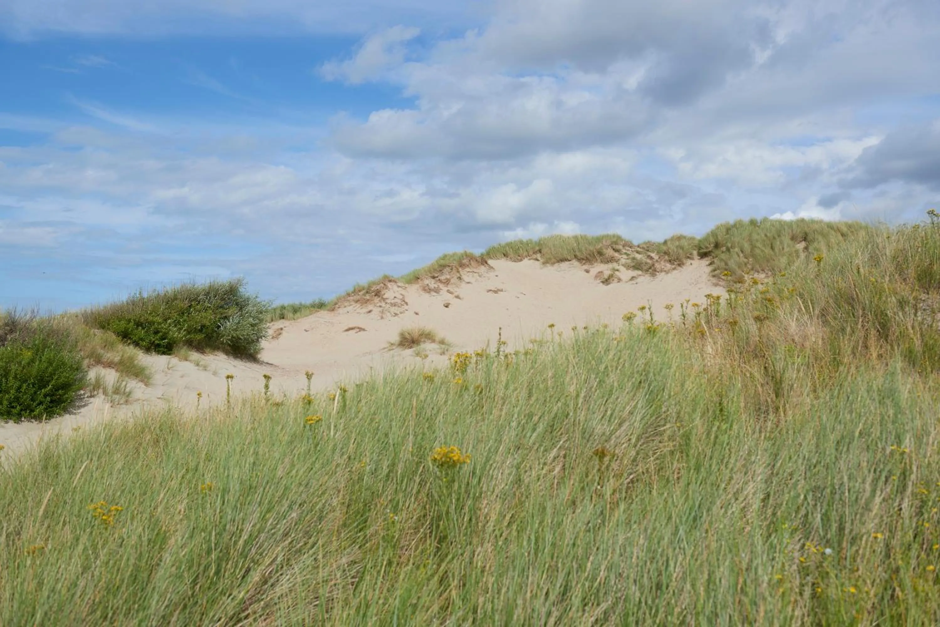 Beach in Zeepark Haerendycke