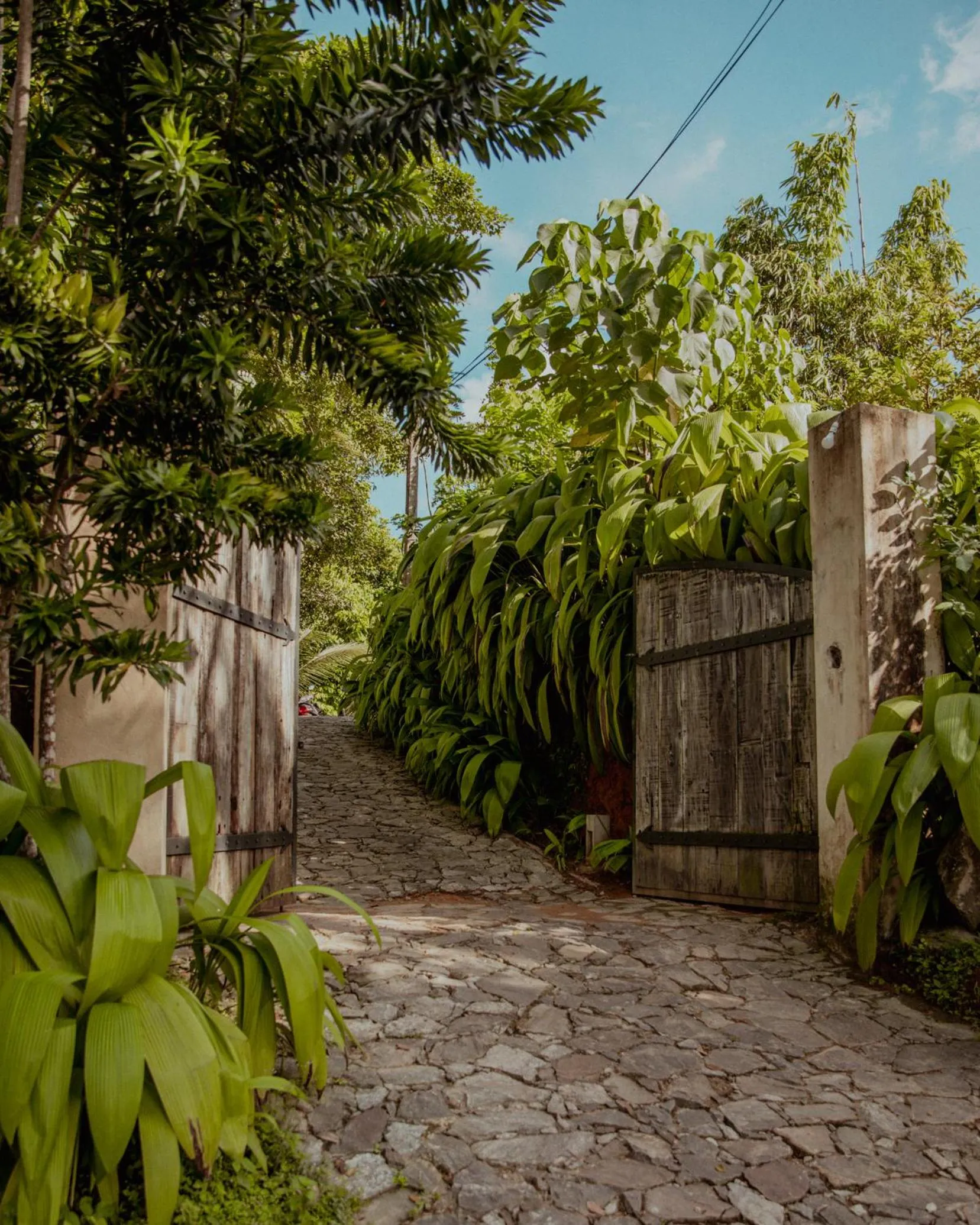 The Jungle Loft Galle