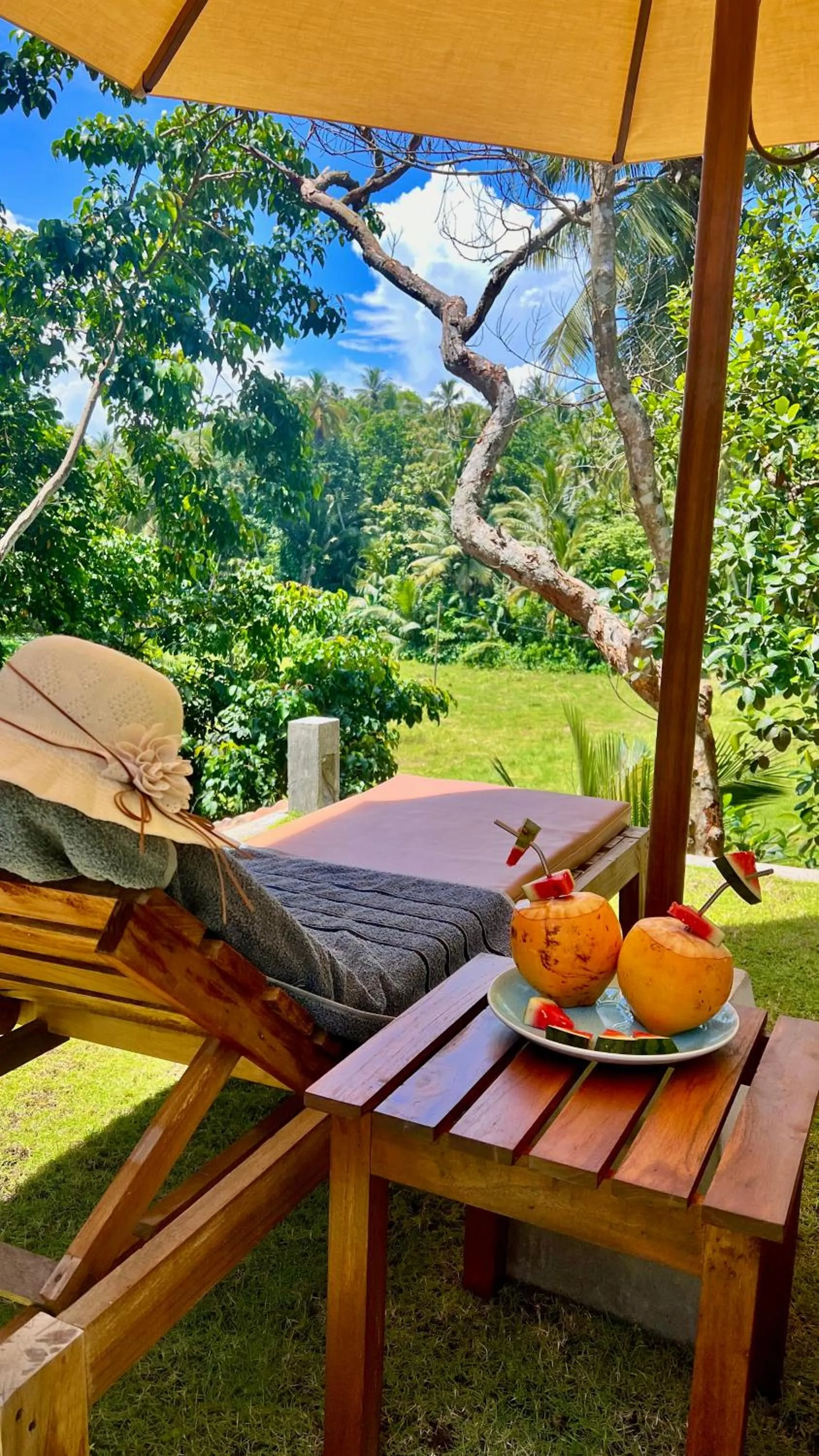 Natural landscape in The Jungle Loft Galle