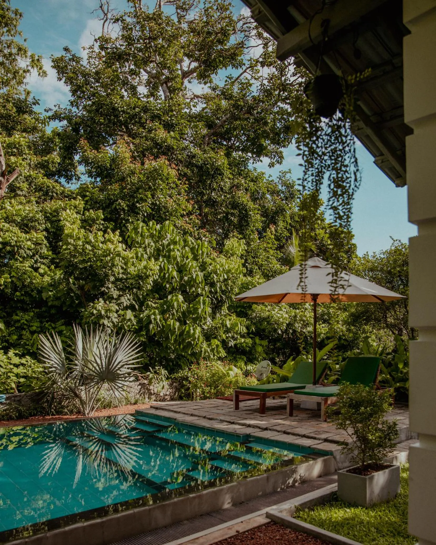 Natural landscape in The Jungle Loft Galle