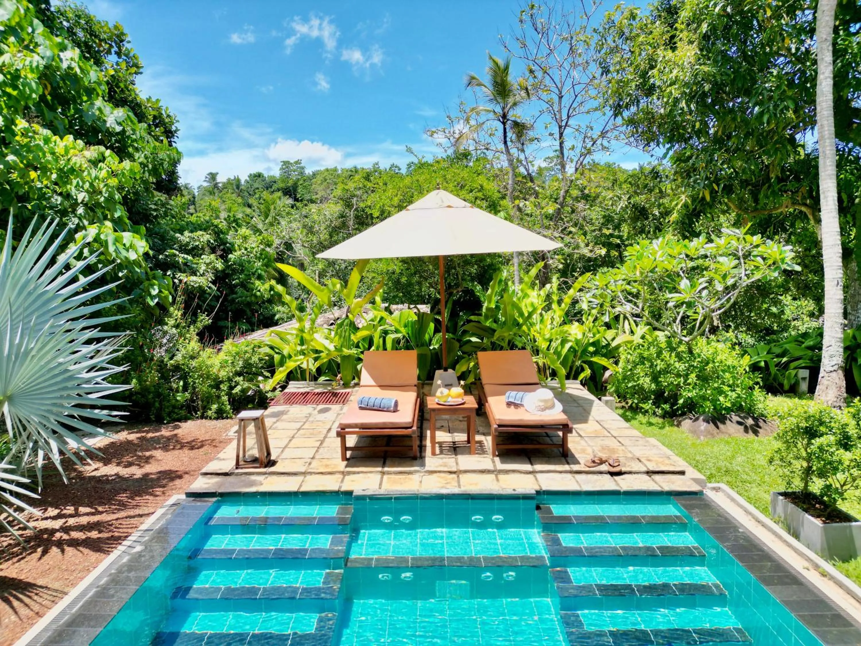 Natural landscape in The Jungle Loft Galle