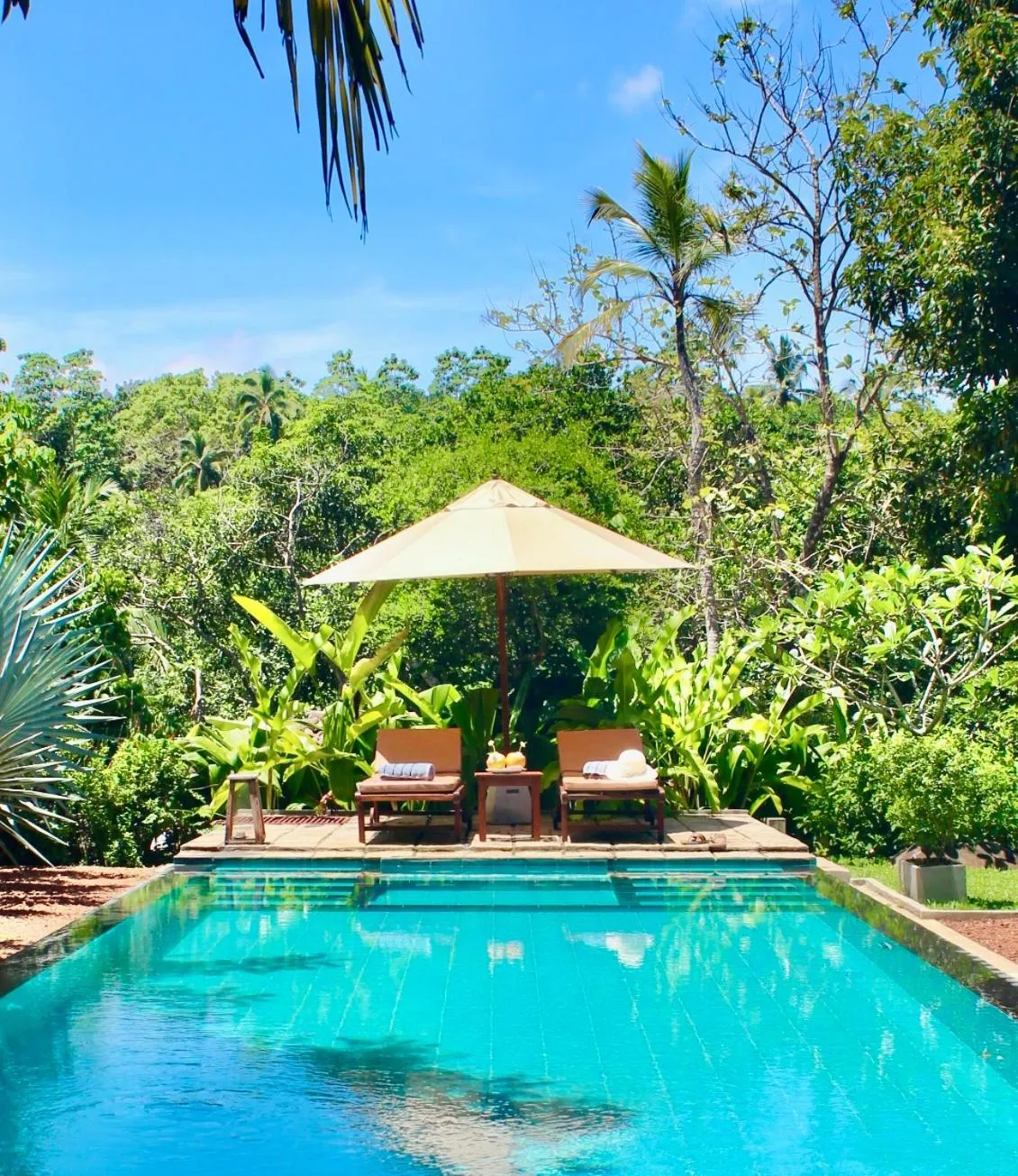 Natural landscape in The Jungle Loft Galle