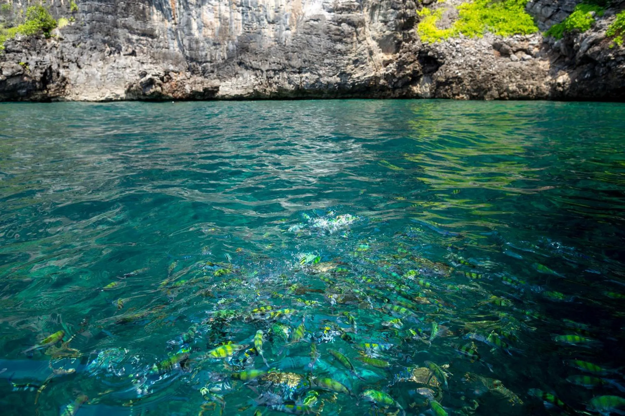 Off site in Phi Phi CoCo Beach Resort