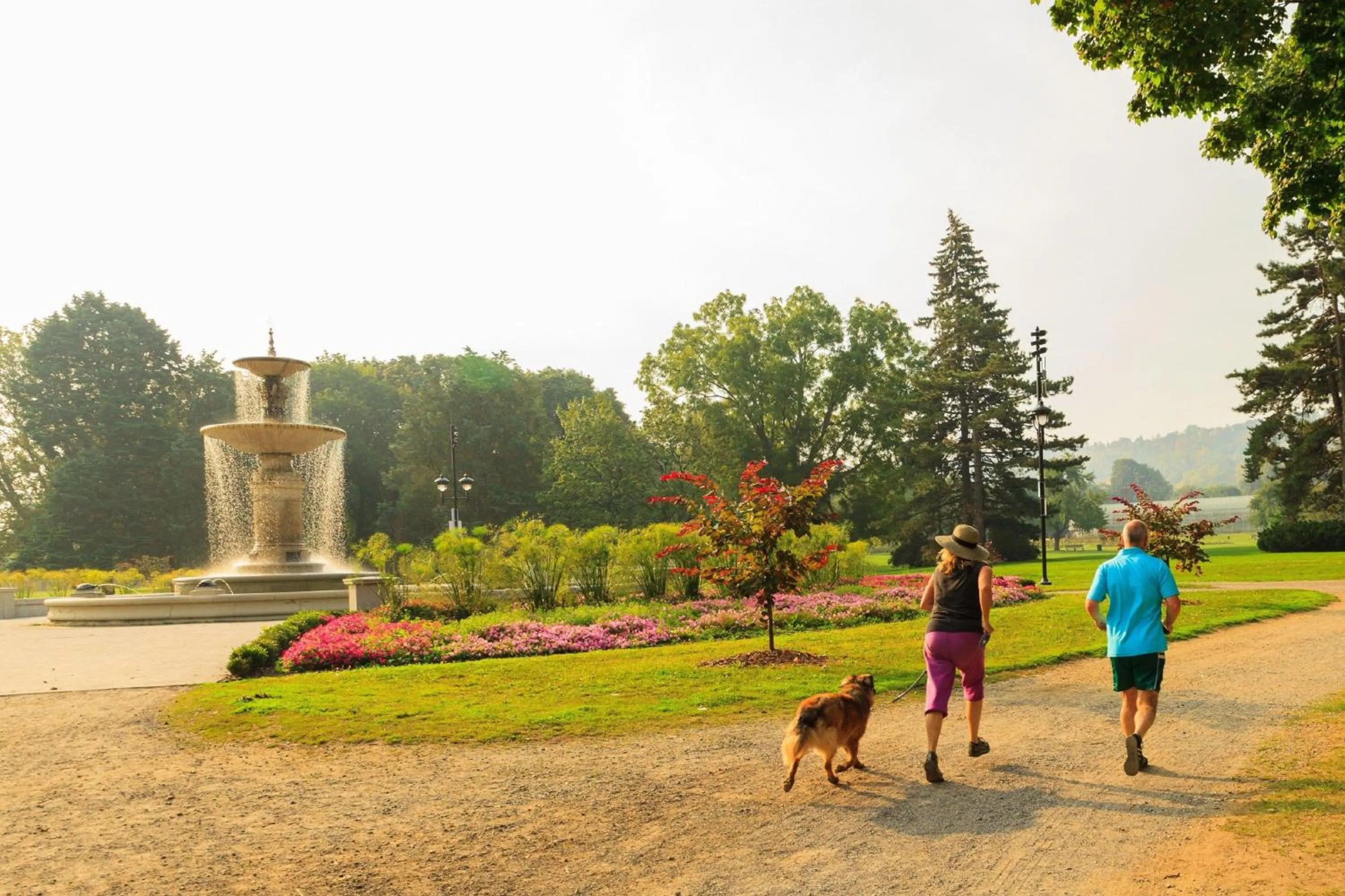 Area and facilities in Staybridge Suites Hamilton - Downtown by IHG