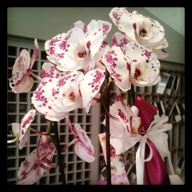 Lobby or reception in Hotel Universo