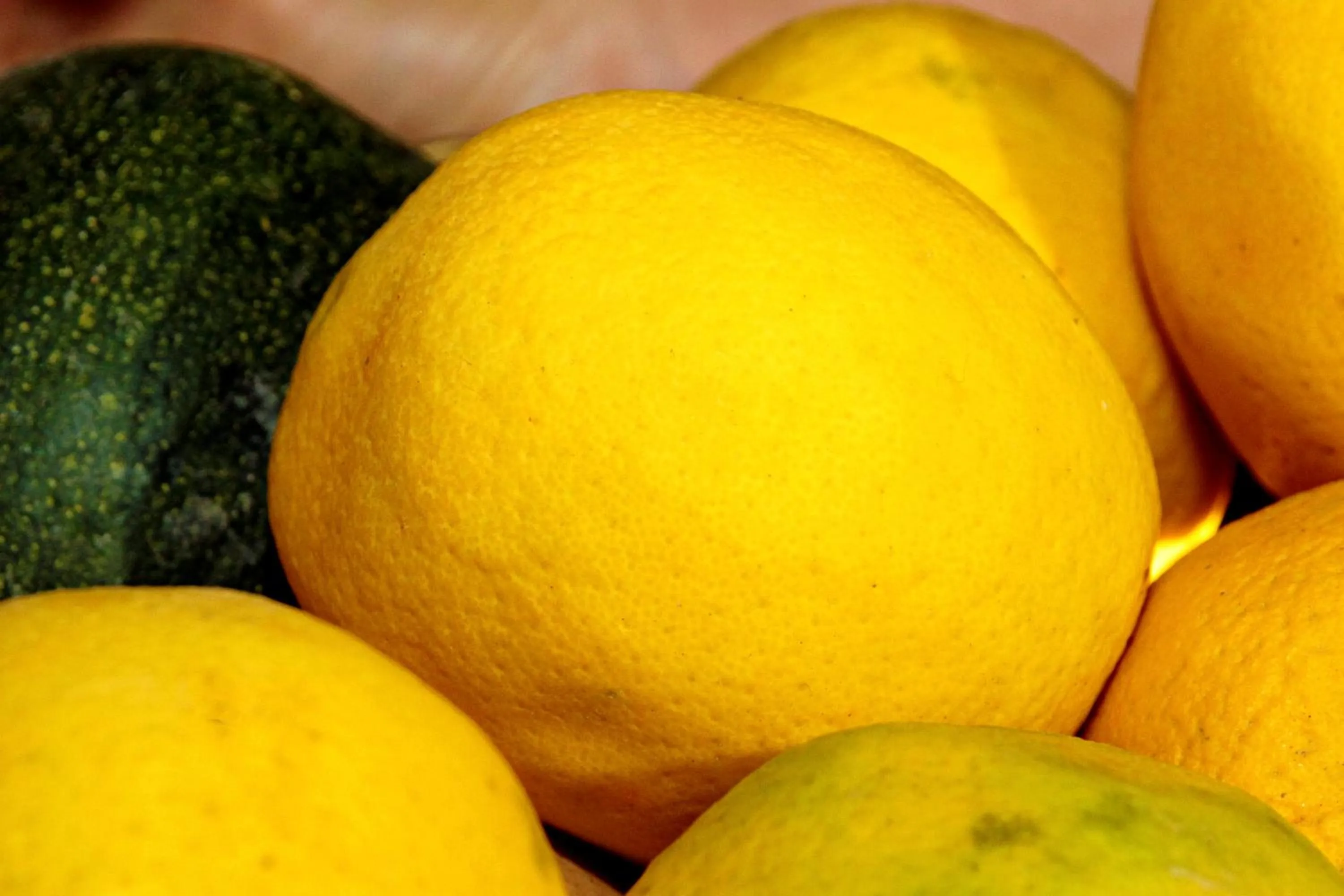 Food and drinks in Bush Pillow Guest House