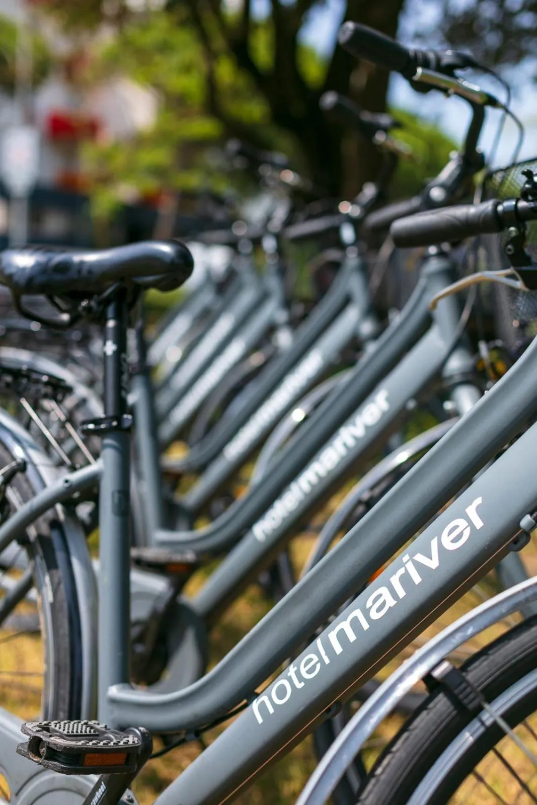 Cycling in Hotel Mariver