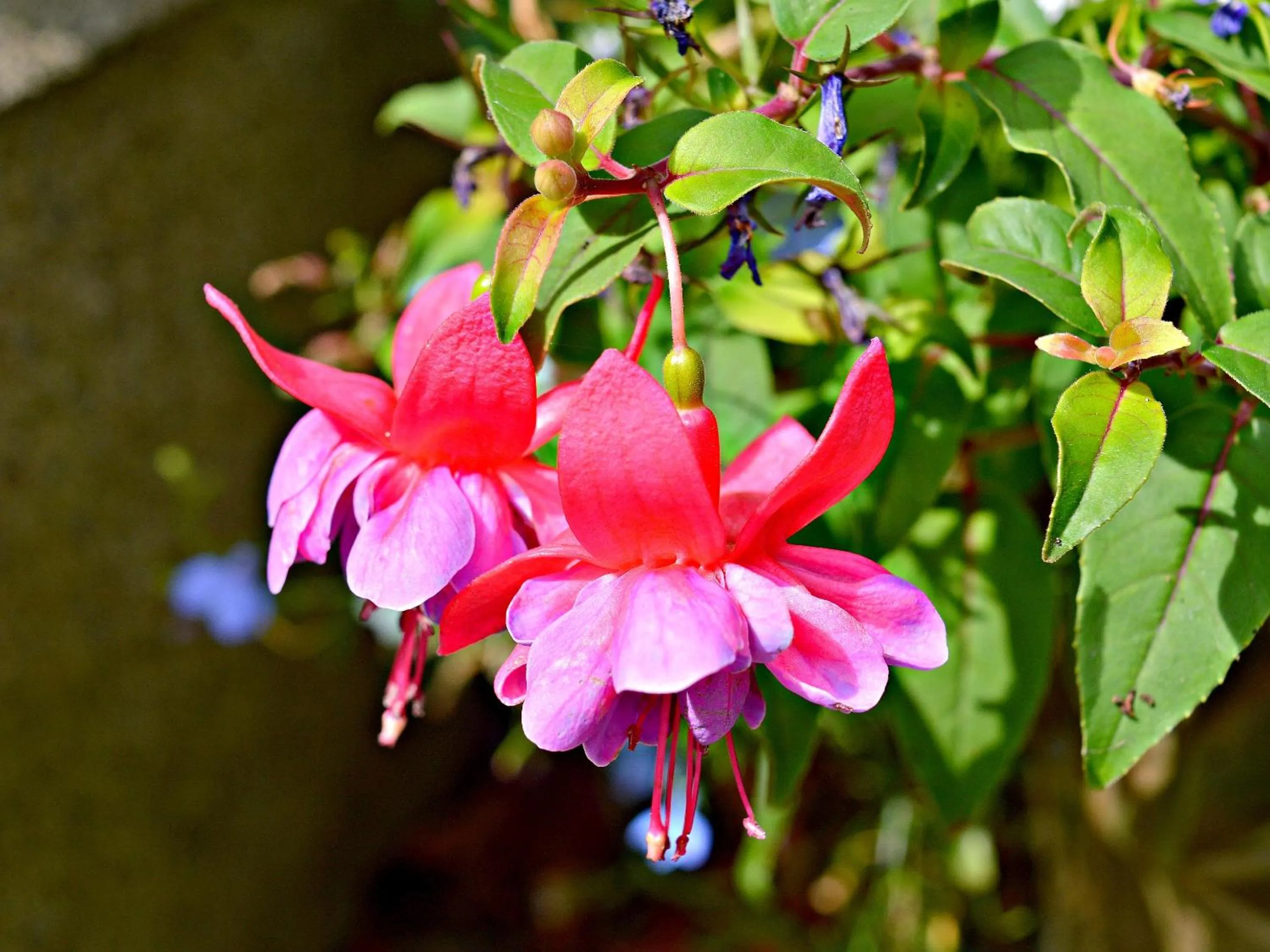 Property building in Kiltariff Hall Country House