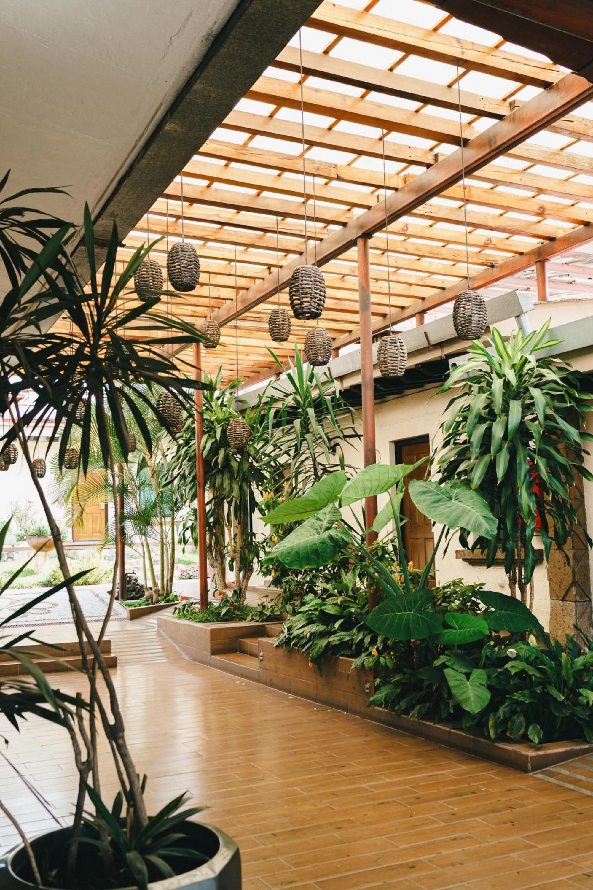 Patio in Hotel Posada Virreyes